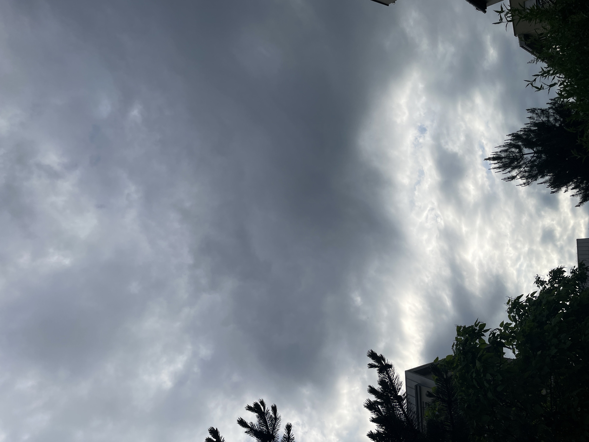 Witness documents cloudy afternoon with urban nature and playground scenes