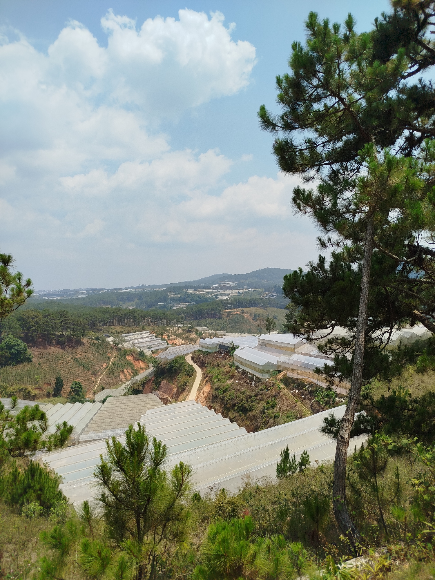 Agricultural greenhouses spotted across Lang Biang mountainous terrain in Vietnam