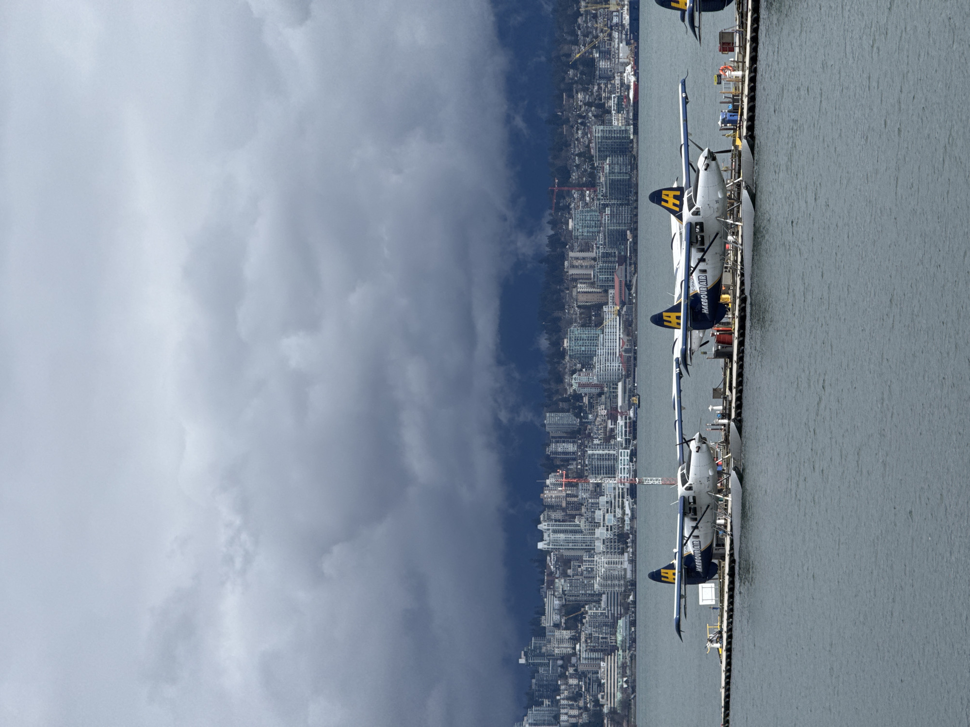Vancouver Harbor Evening: Seaplanes, Urban Activity, Marine Life