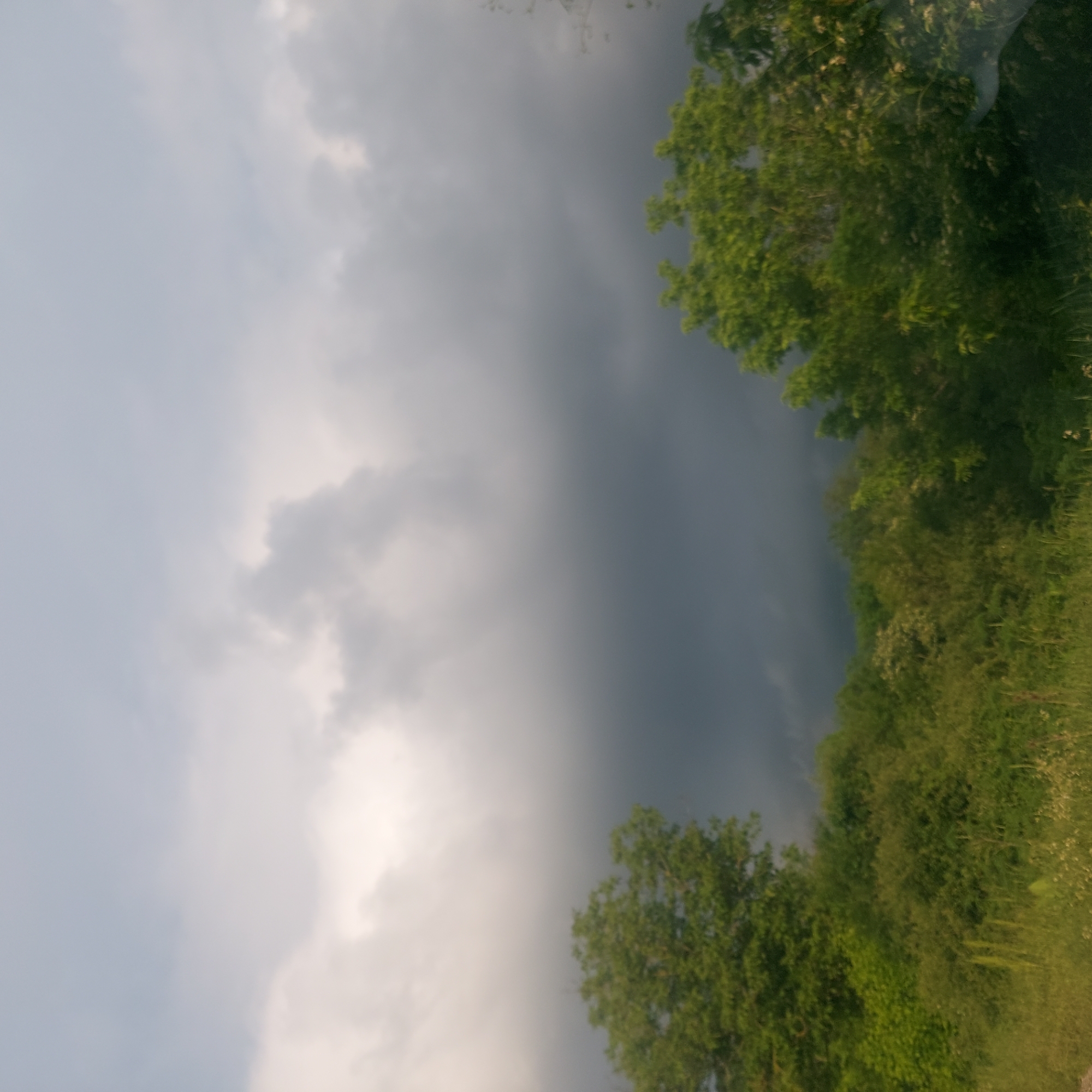Dark storm cloud observed over Strazhitsa, Bulgaria treeline