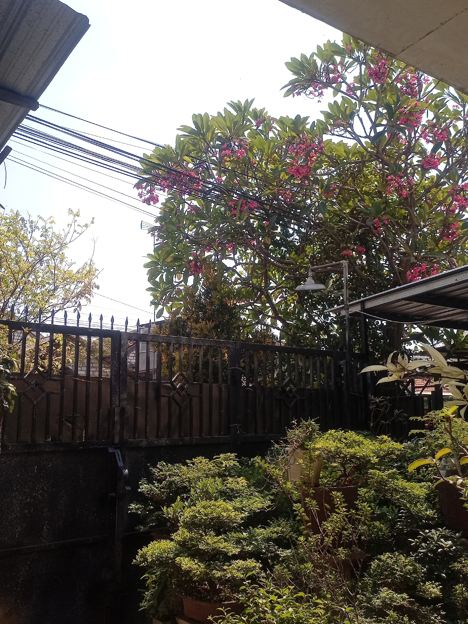 Juwana, Indonesia