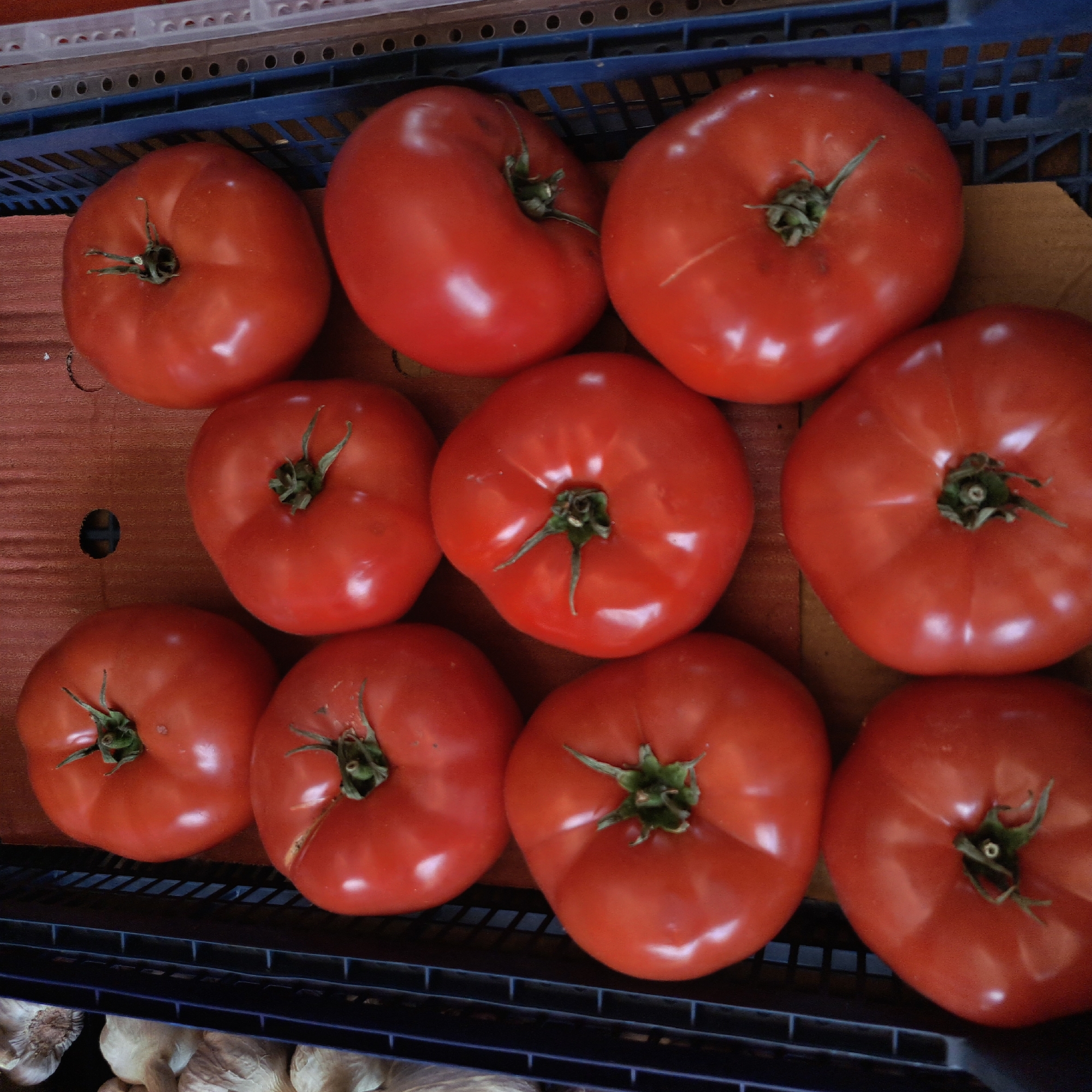 Fresh produce market documented in Odesa, Ukraine
