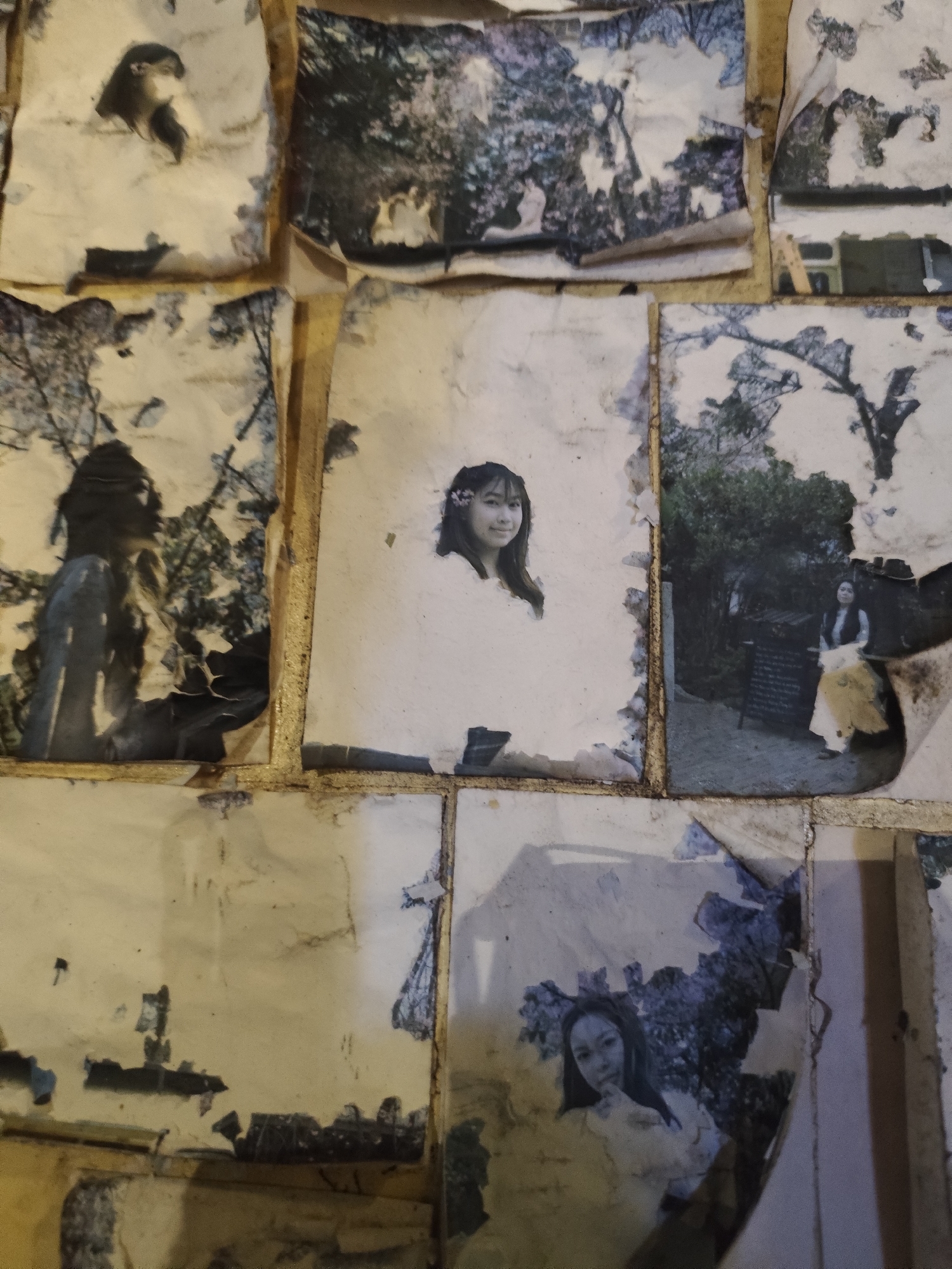 Witness documents diverse scenes from photographs to architecture