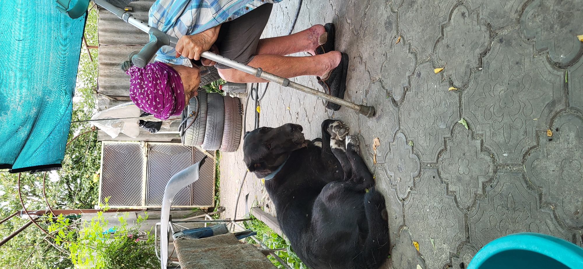 A still moment in Tetianivka: a resting figure and a dog.