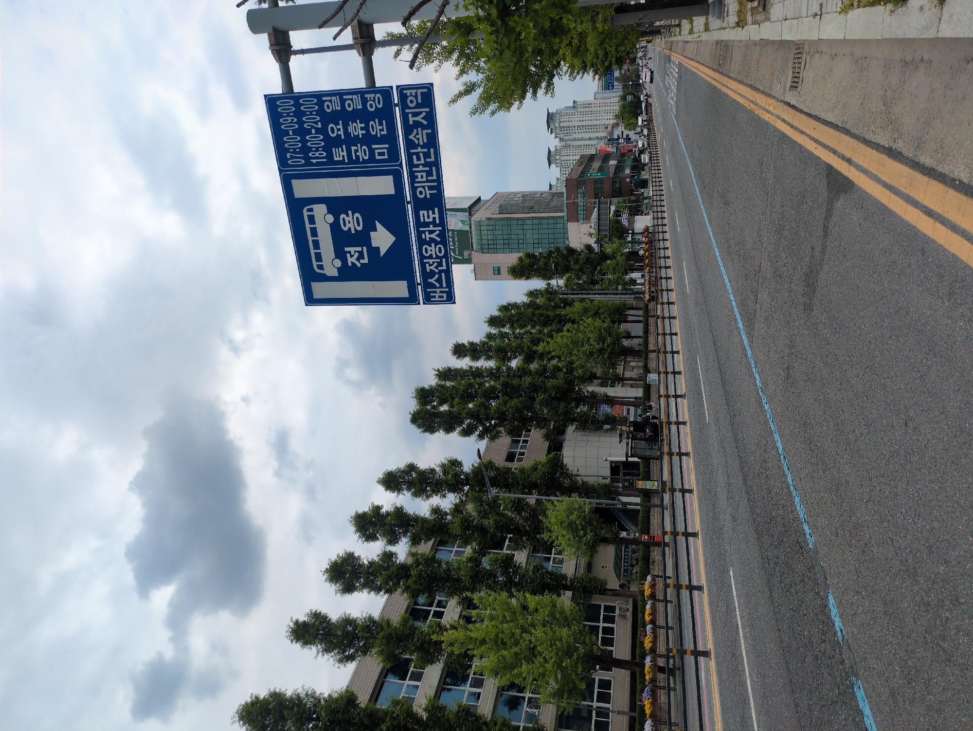 Bus lane signage spotted on Daejeon street