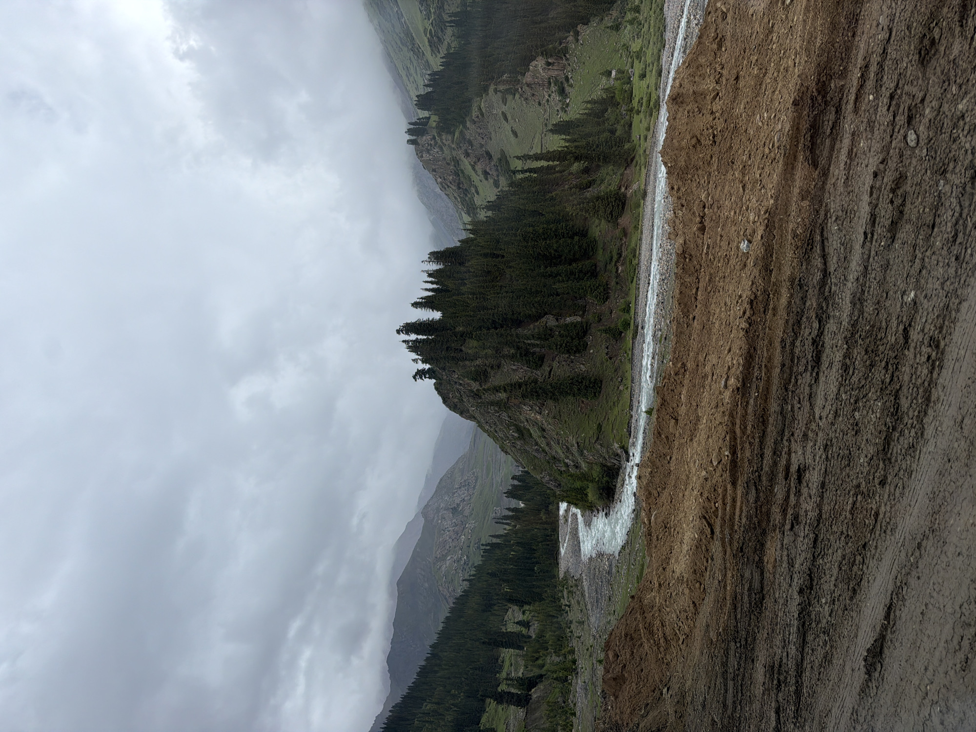 White-water river winds through a forested Kyrgyz mountain valley
