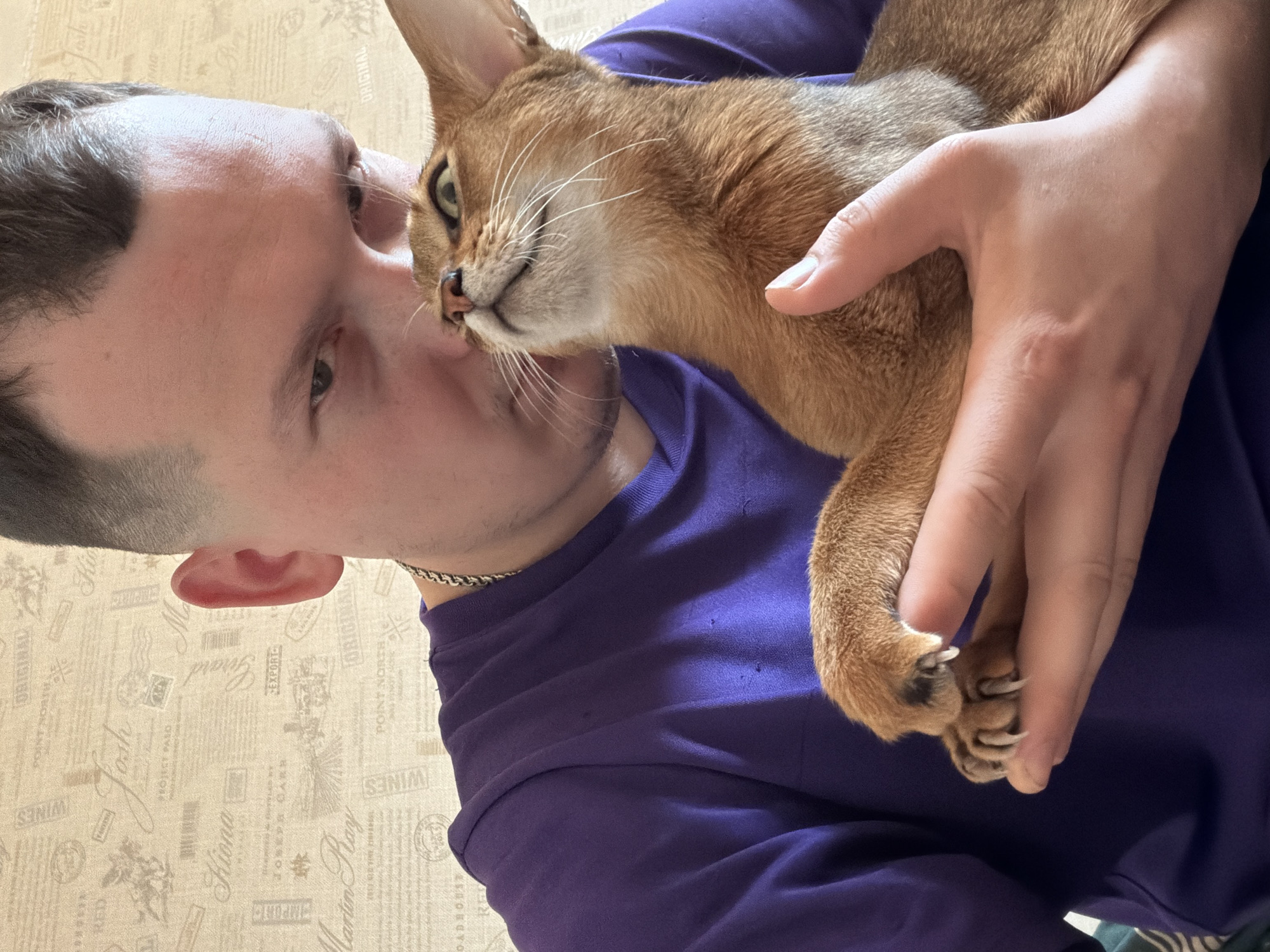 Late-night domestic moments with cat captured in Chaikovsky, Russia