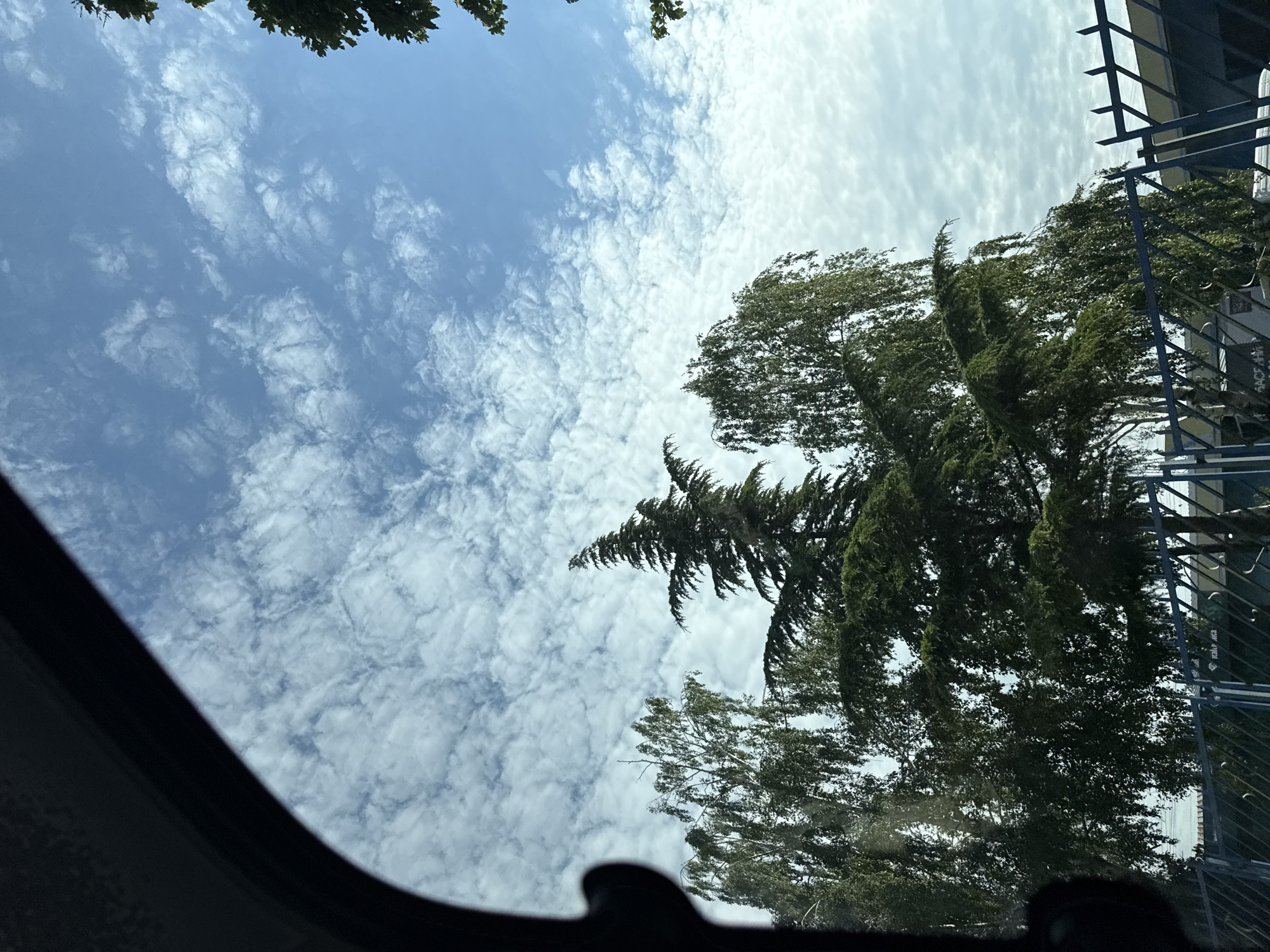 Morning drive through Varna captures everyday street scenes