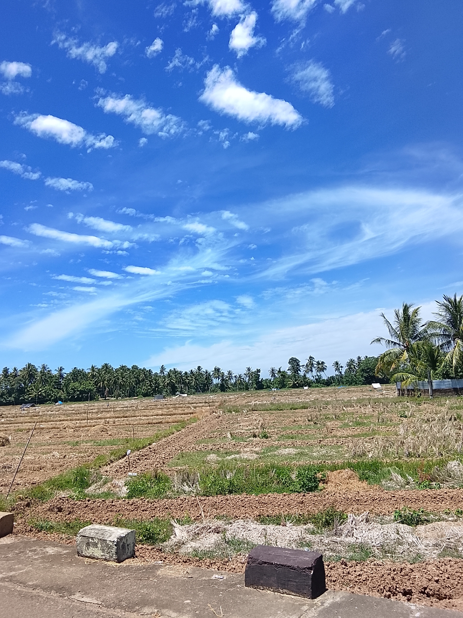 Teupin Peuraho, Indonesia