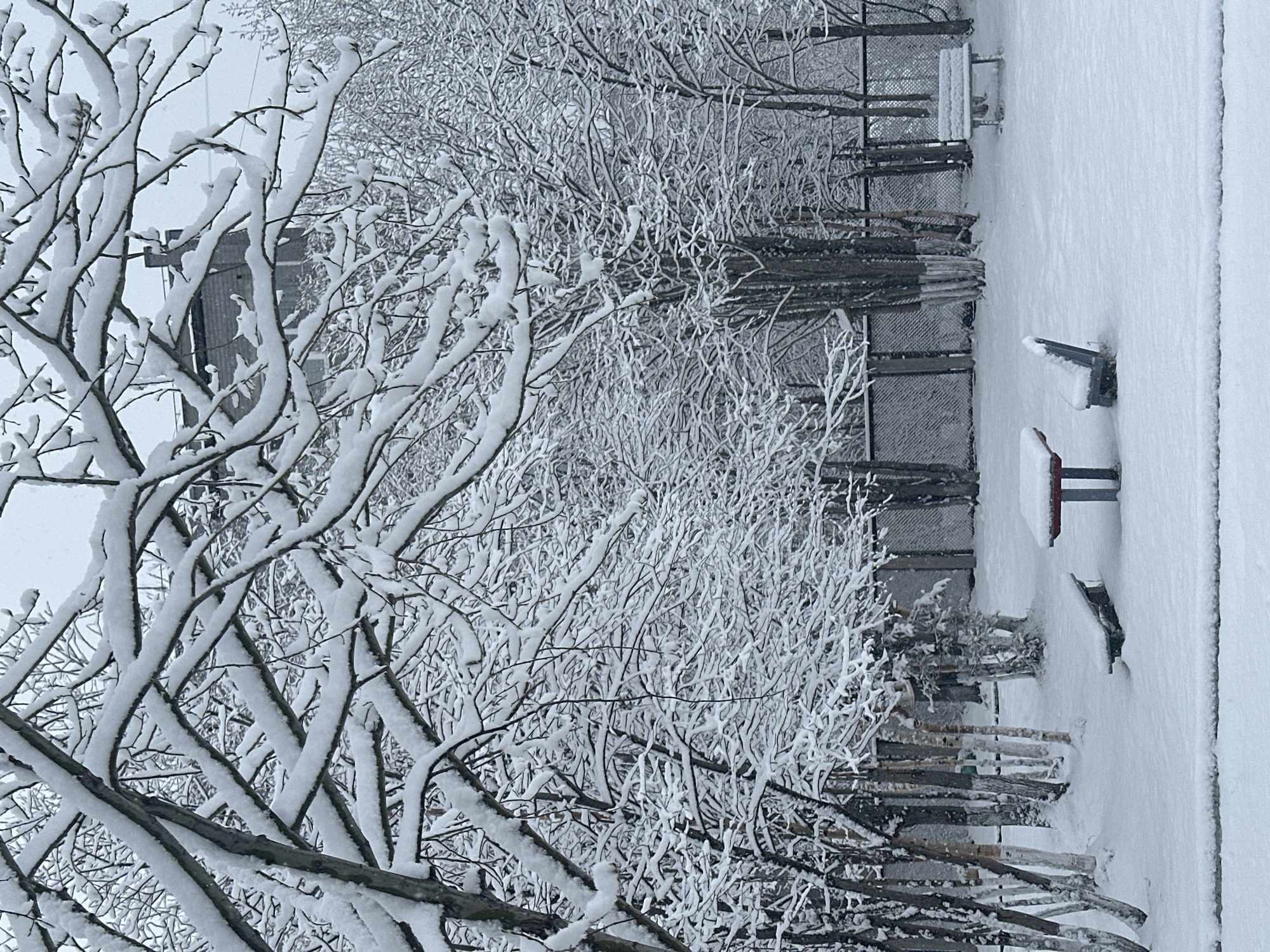 Urban snow conditions documented by witnesses early morning