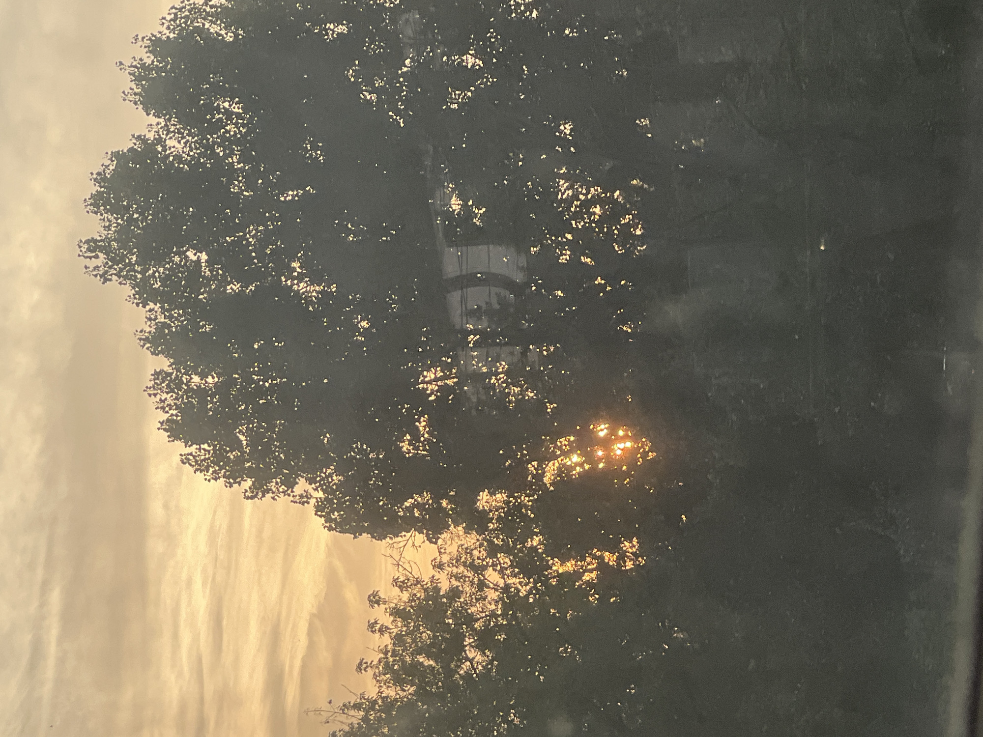 Warsaw evening sky, dusk to moonrise through urban treeline