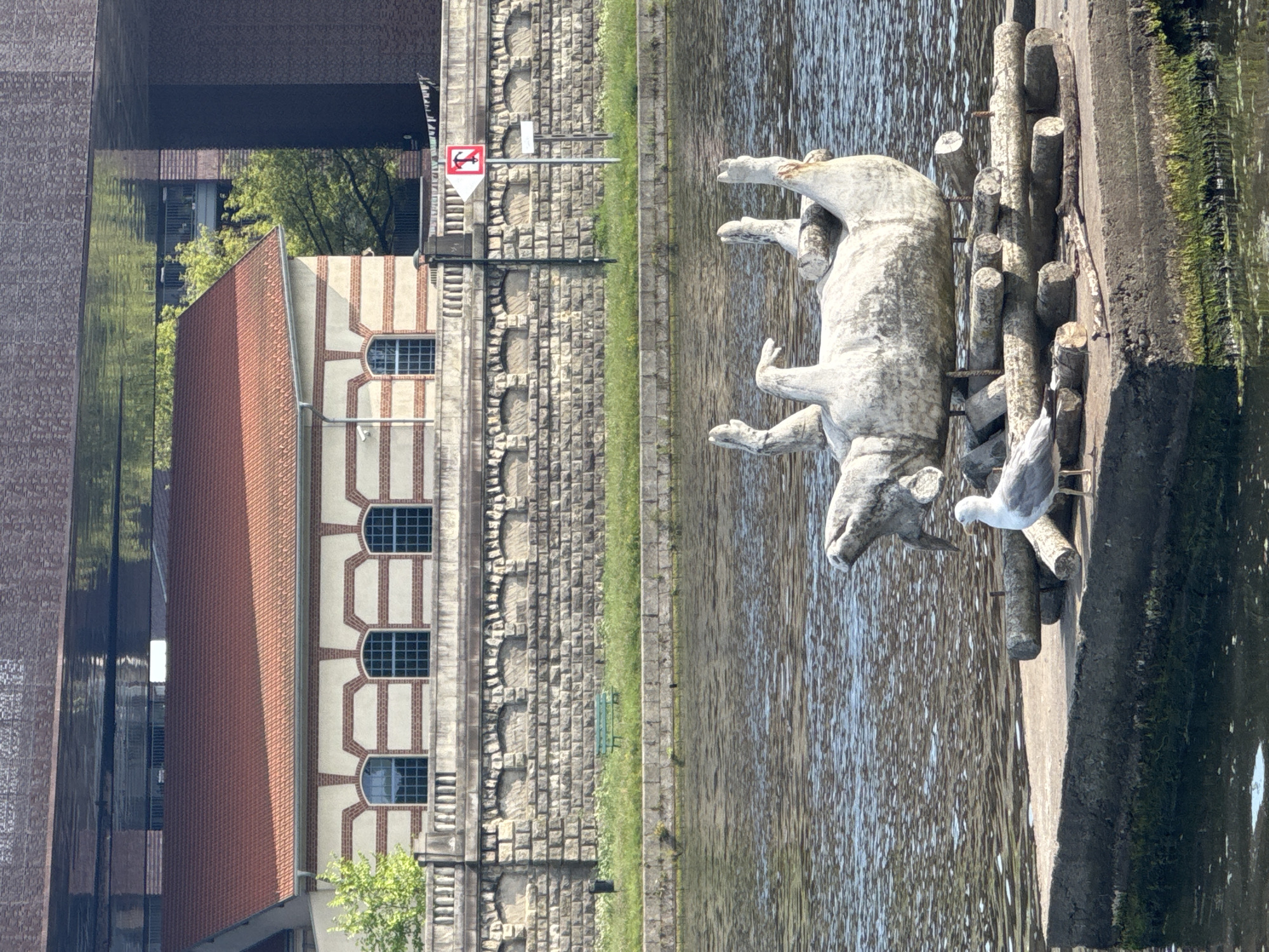 Stone bull statue meets seagull along a Krakow waterway
