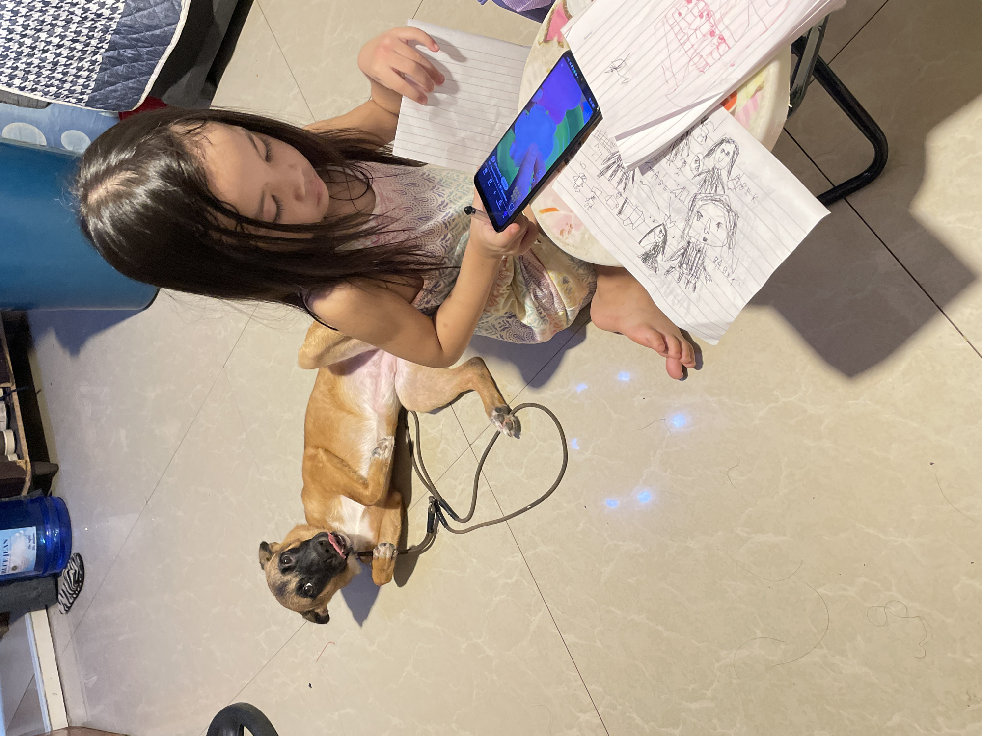 Lazy morning at home in Davao — dog, drawings, and a street cat