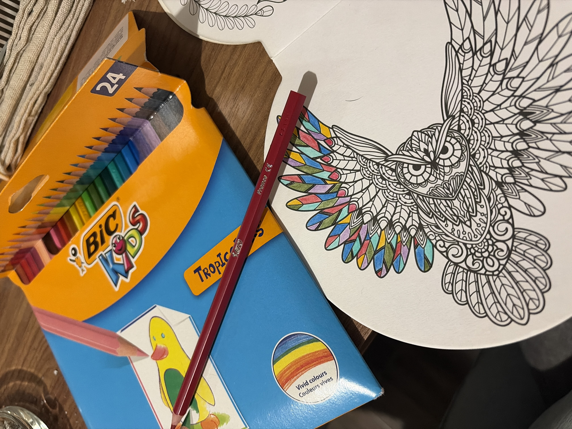 Art supplies and owl drawing captured in Sofia