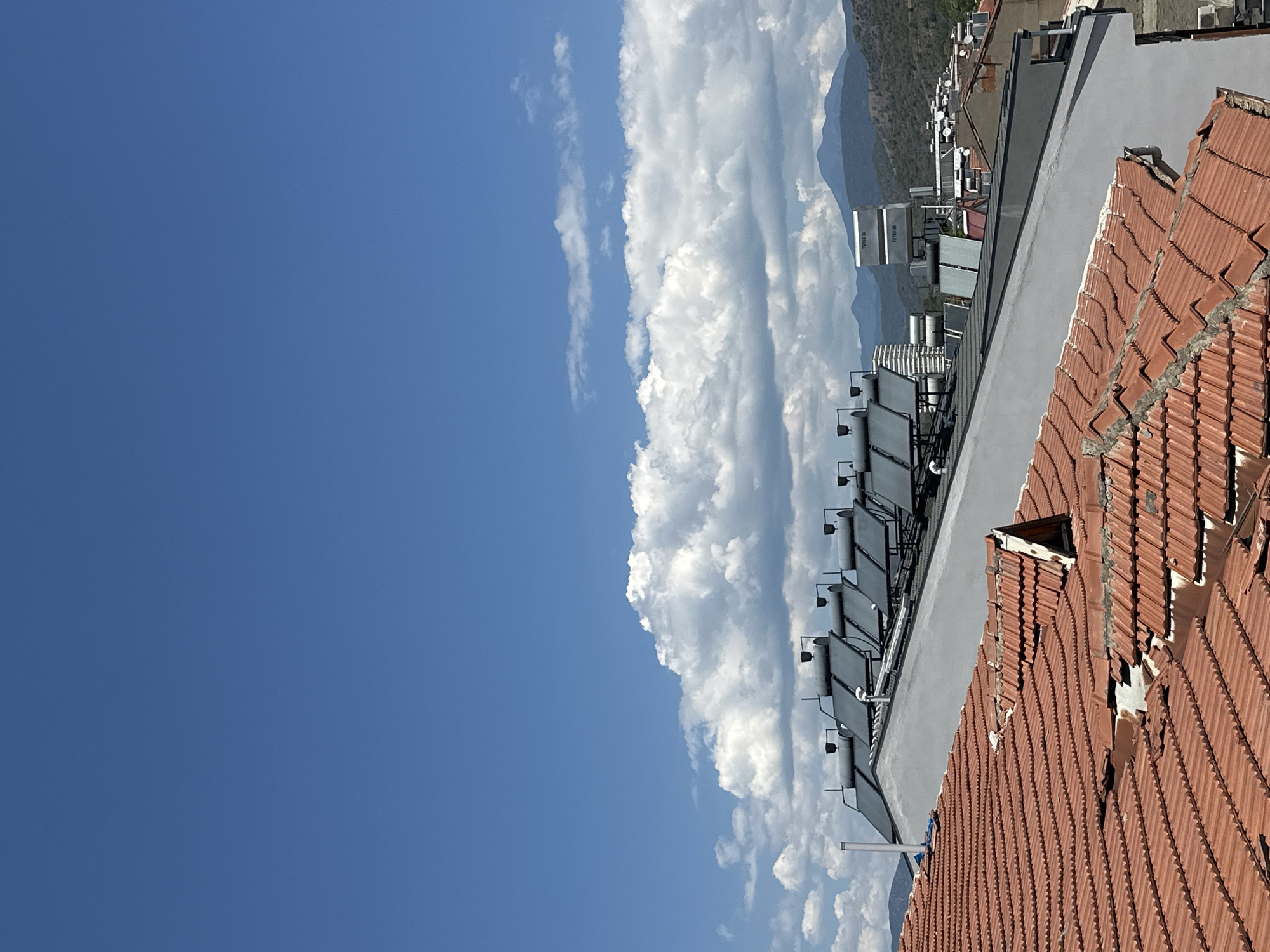 Rooftops, palms, and downtime in sunny Fethiye