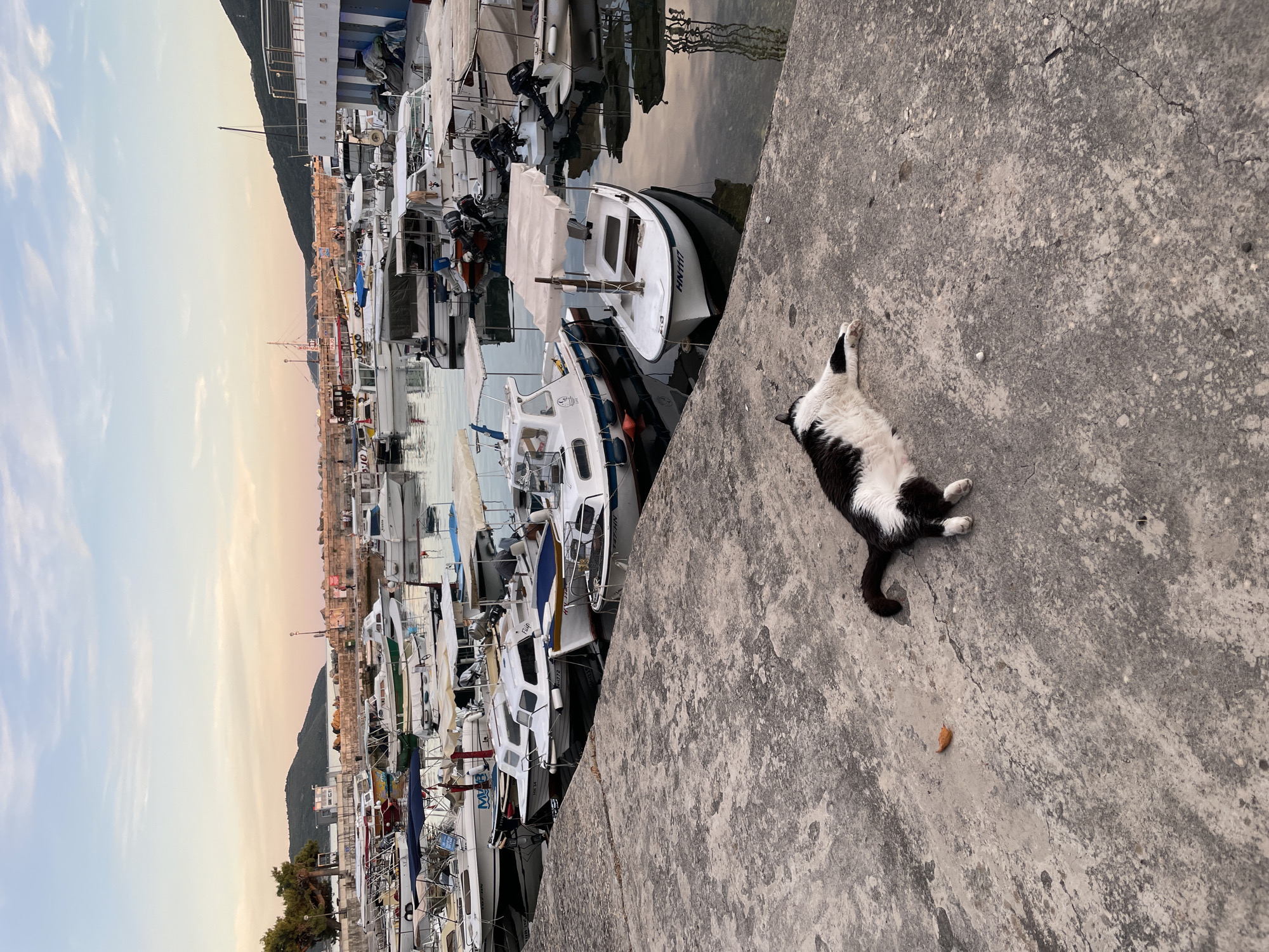 Sunset harbor views and mirror selfies in Herceg Novi