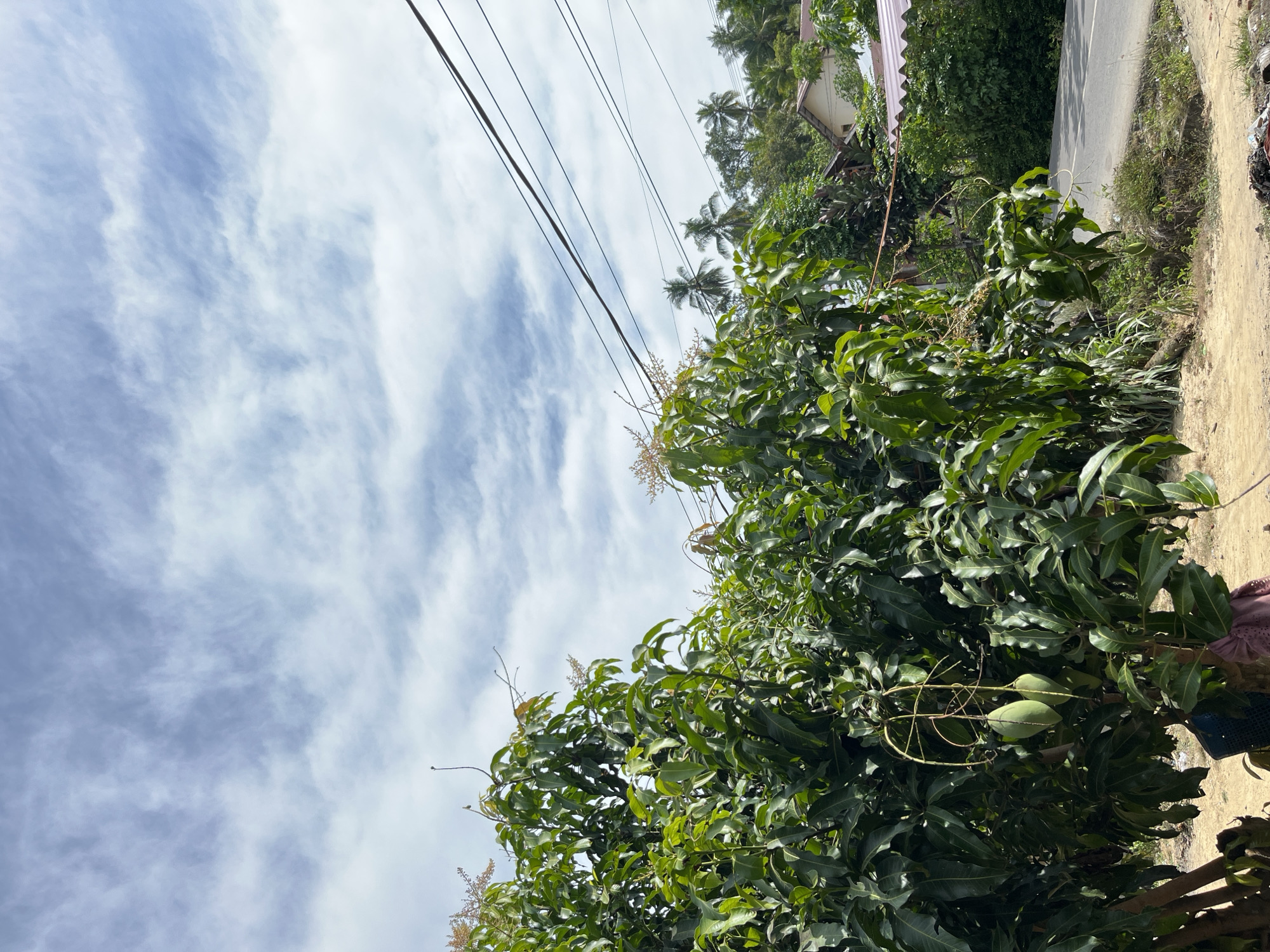 Morning street scenes documented in Lhokseumawe, Indonesia