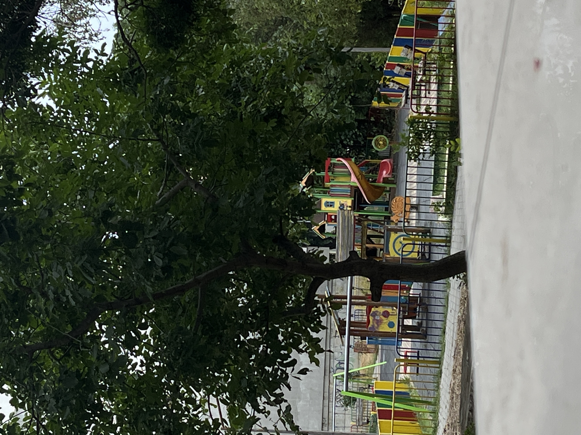 A quiet Varna morning — park, apartment windows, and guitar