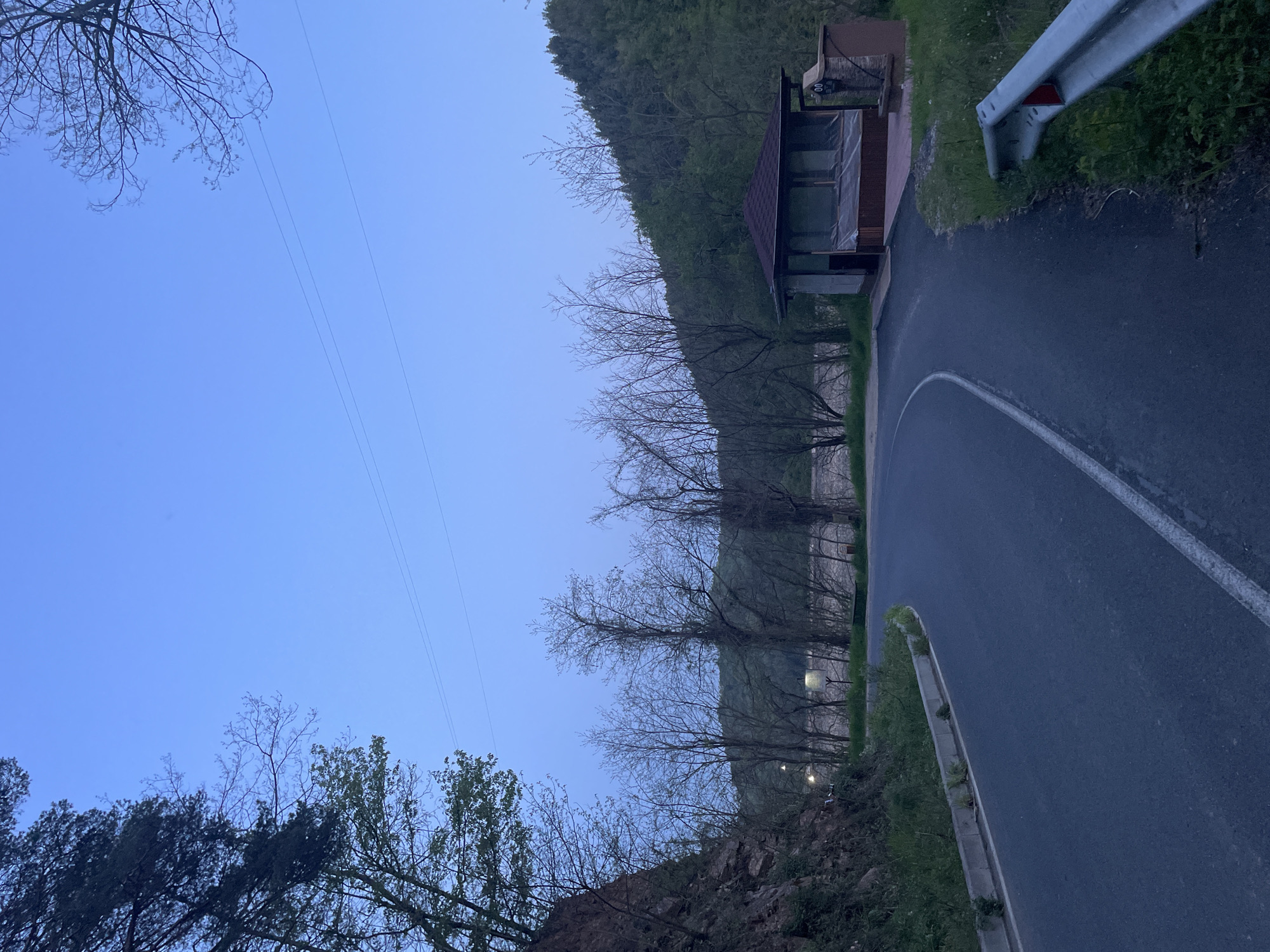 Curved road section documented in wooded Zlatograd area