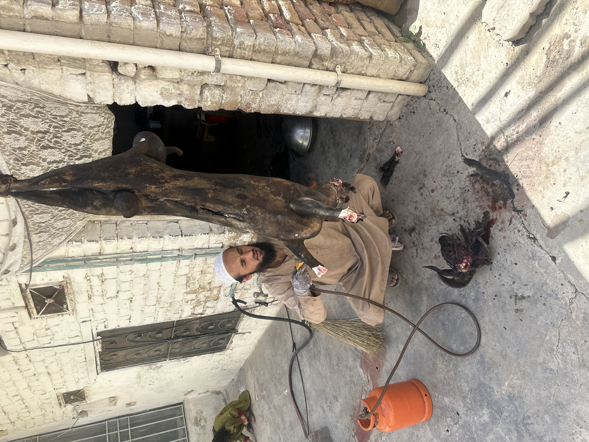 Traditional meat processing documented in Quetta courtyard