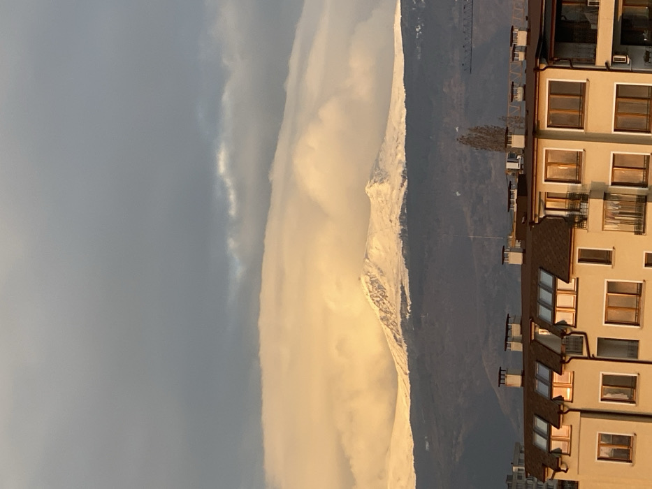 Early morning Sofia scenes feature mountain views and pet