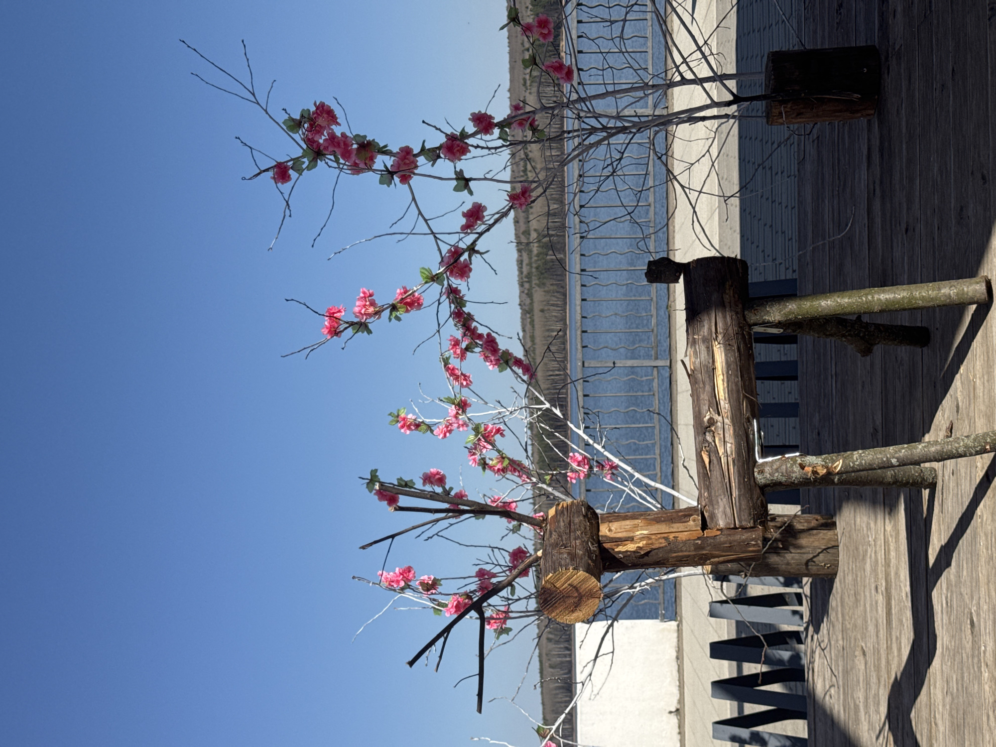 Spring morning activities documented on Chaikovsky boardwalk