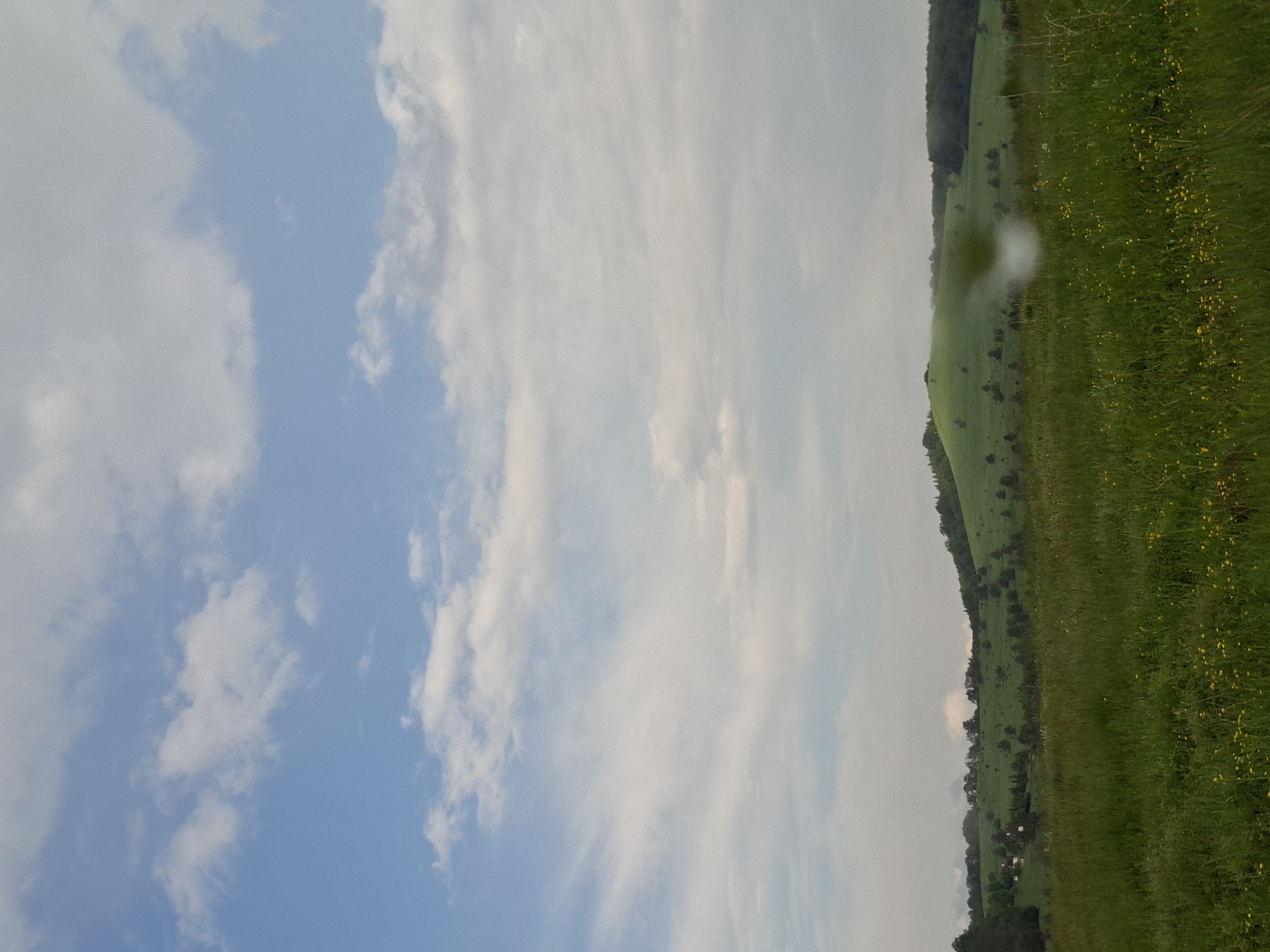 Witness captures pastoral landscape with cloudy sky