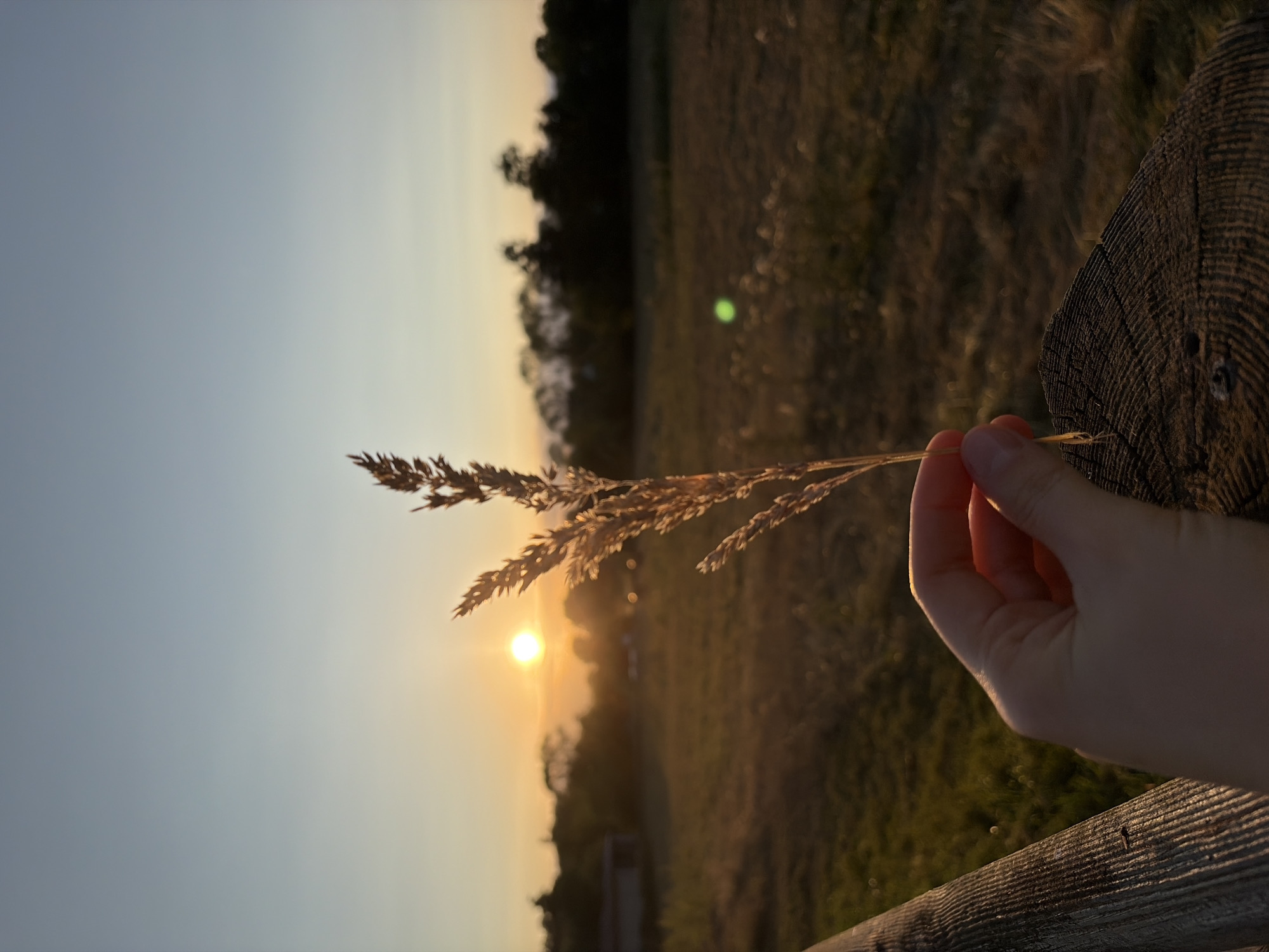 Golden hour on a quiet rural road at dusk