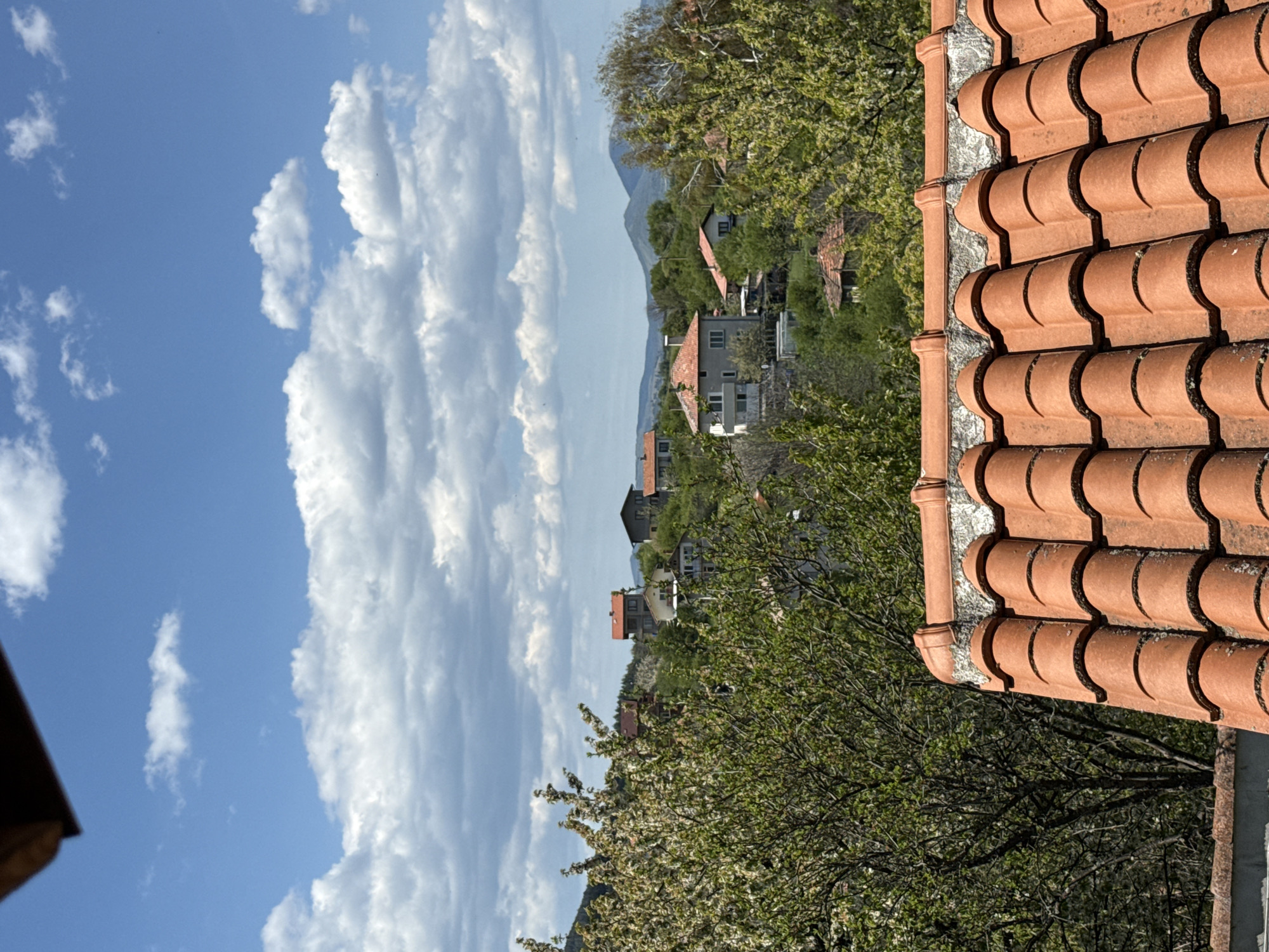 Bulgarian village gardens and rooftops documented during sunny morning