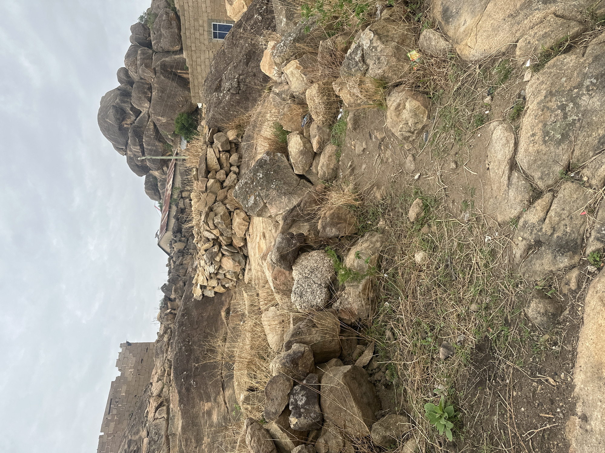 Cats and goats spotted in rocky Jos landscape