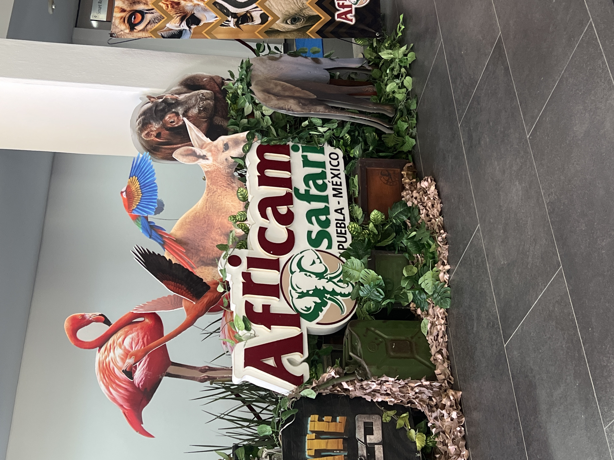 Tourist displays and everyday scenes documented in Tlaxcalancingo