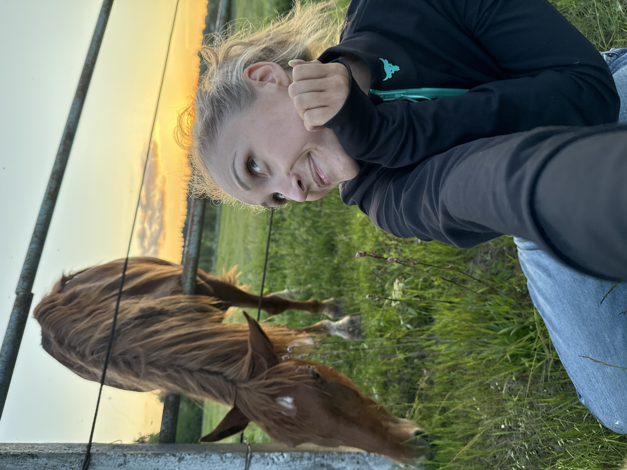 Woman feeds horses at sunset in Russian pasture