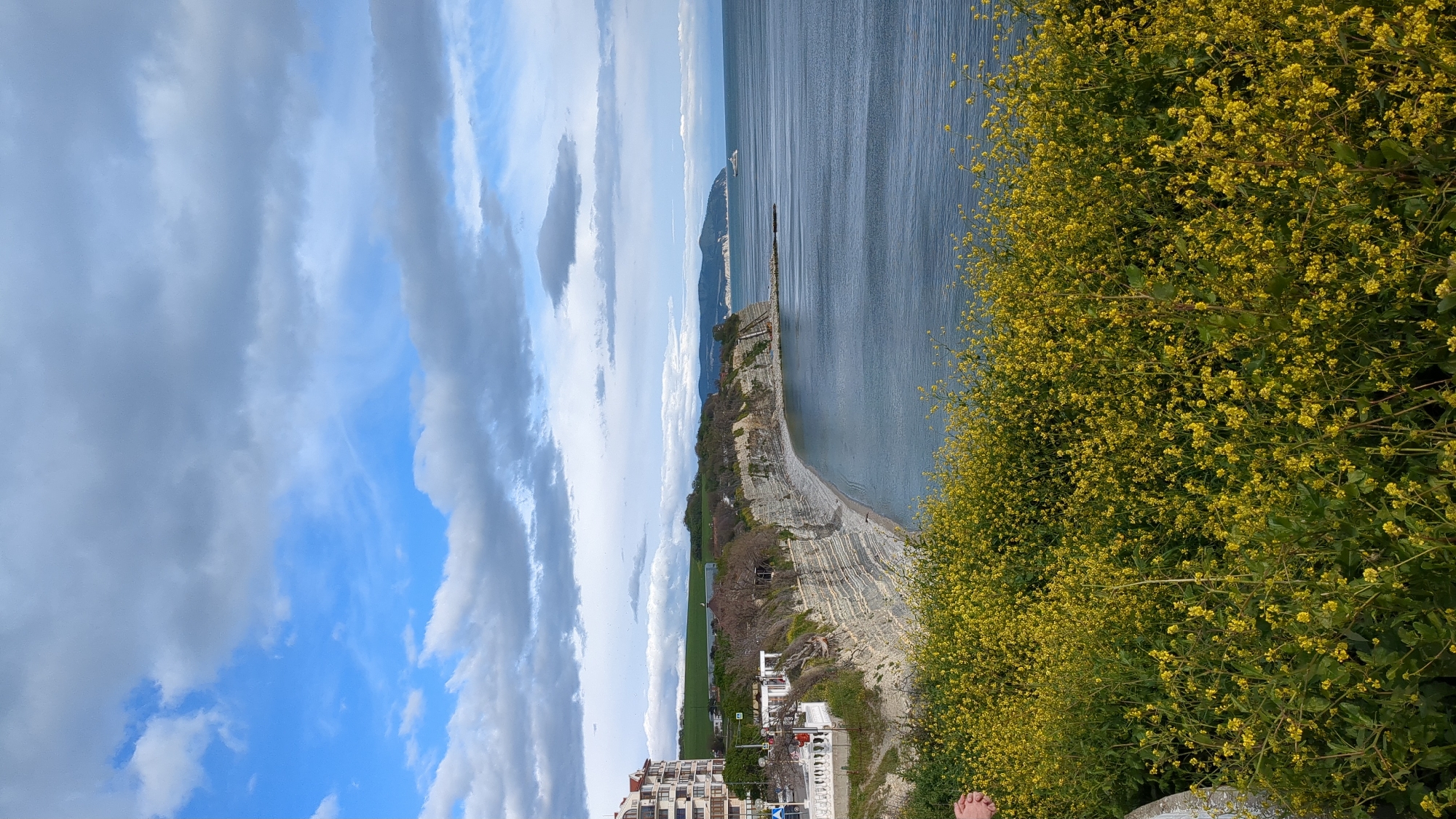 Witness documents street life and coastal scenes in Gelendzhik