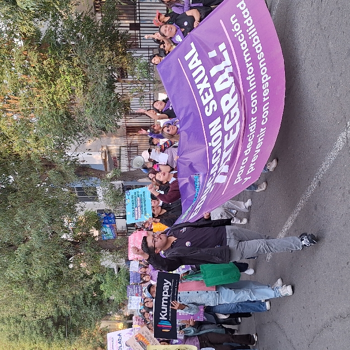 Feminist march with purple banners proceeds through Arequipa streets
