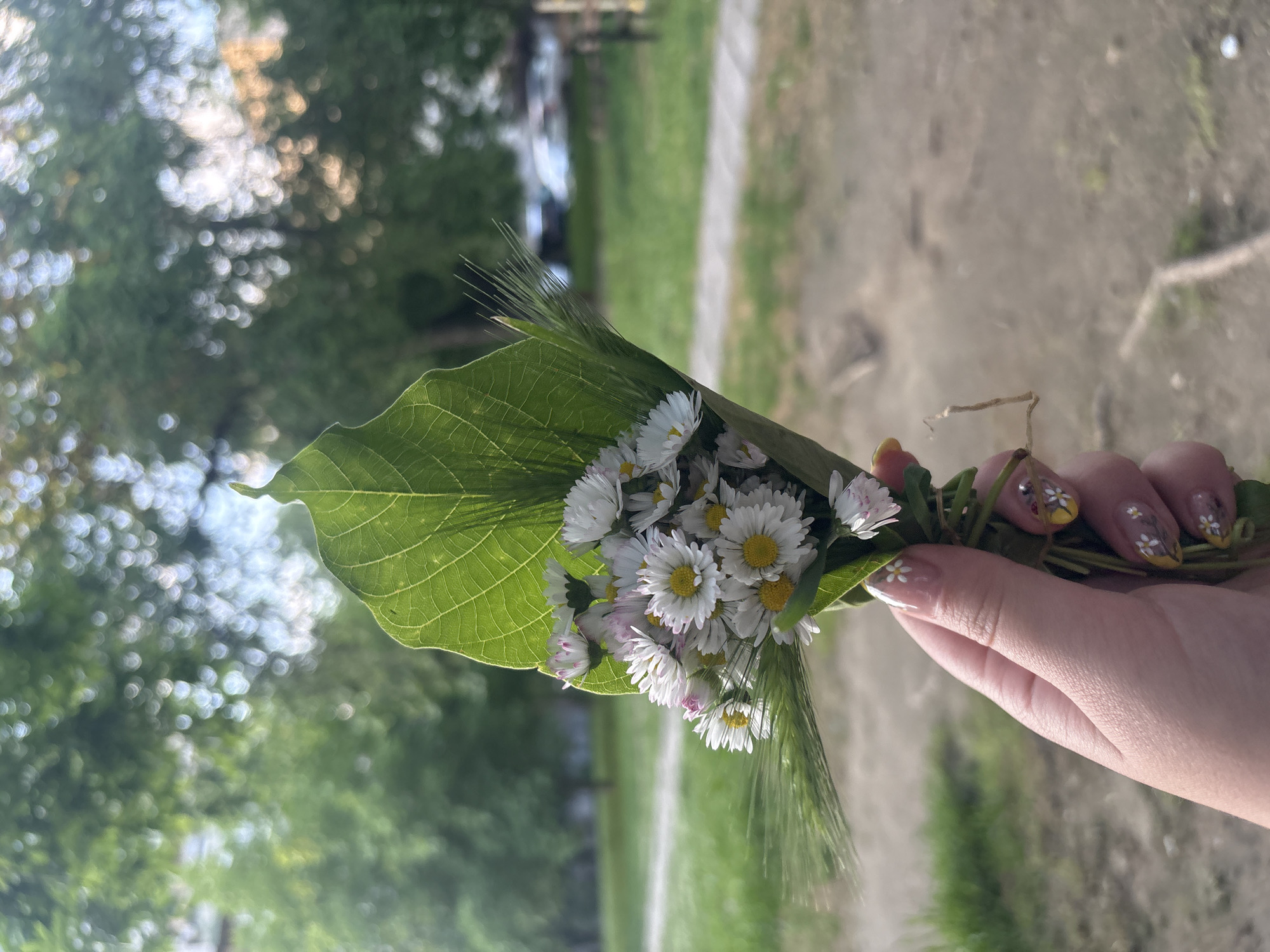 Hand-picked wildflower bouquet gathered in Plovdiv park