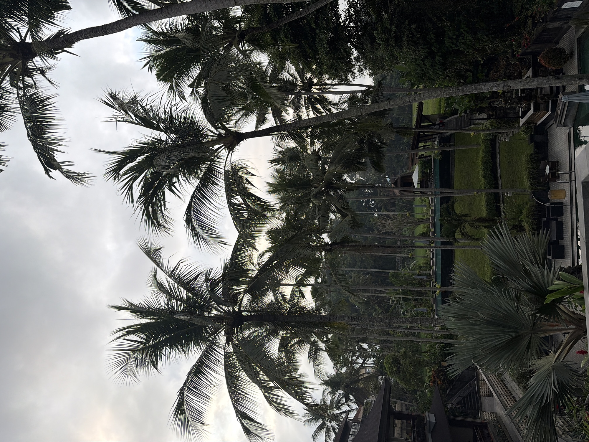 Ubud District, Indonesia