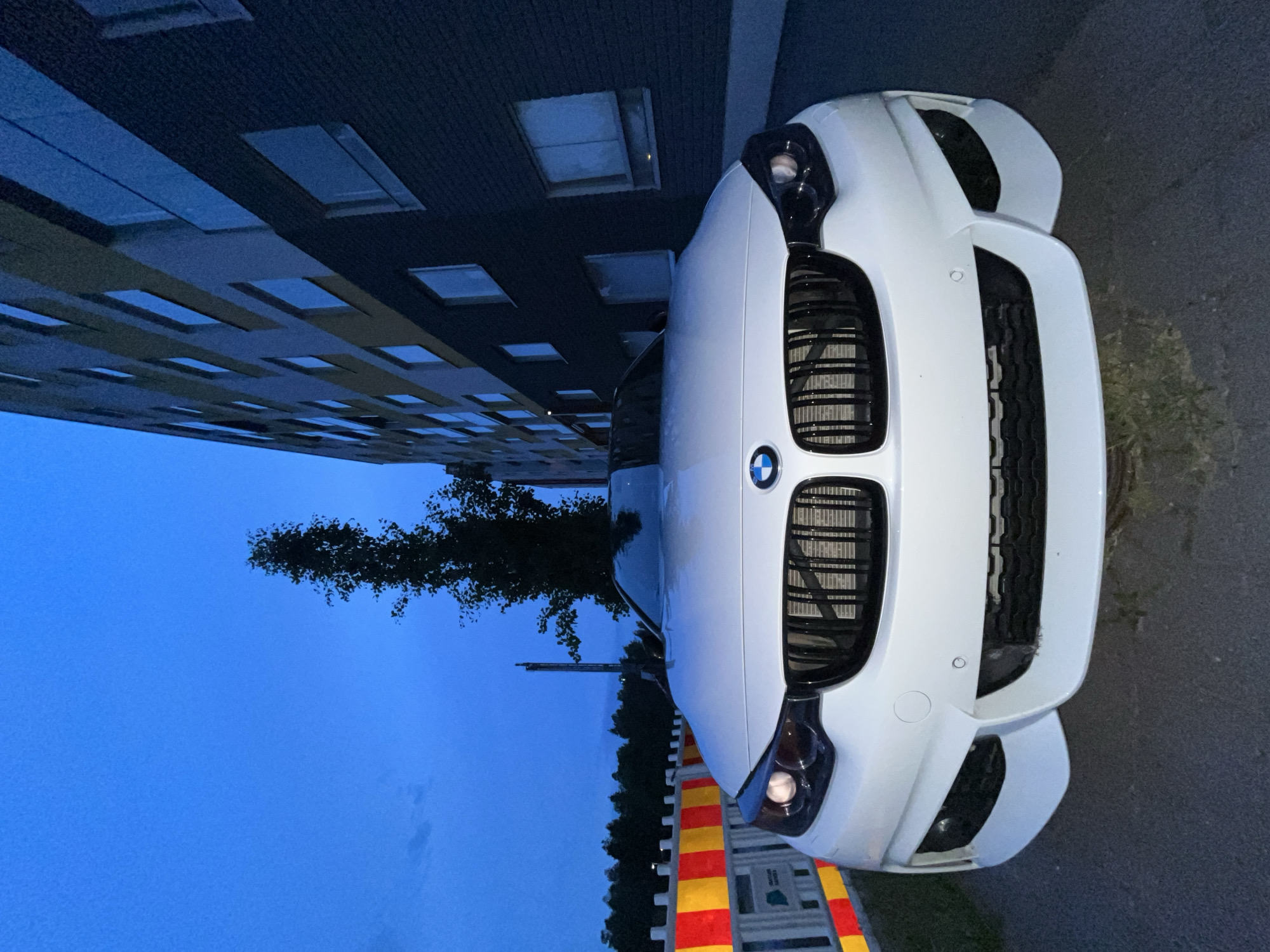 Evening documentation of BMW vehicles and flowers in Vantaa