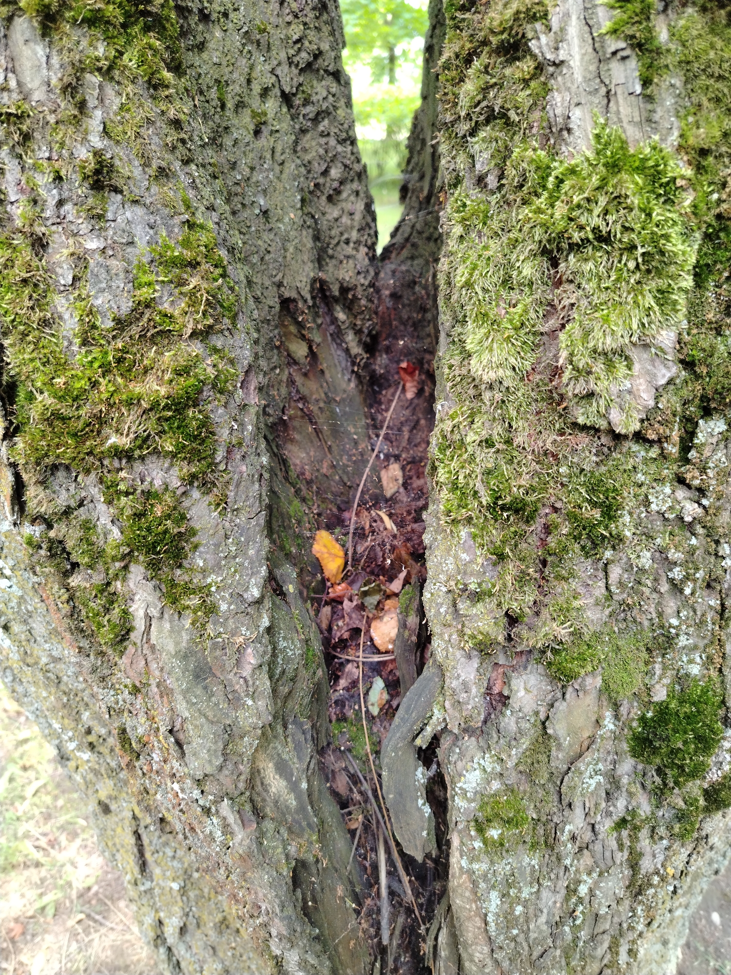 Nature close-ups and urban surroundings near a public building