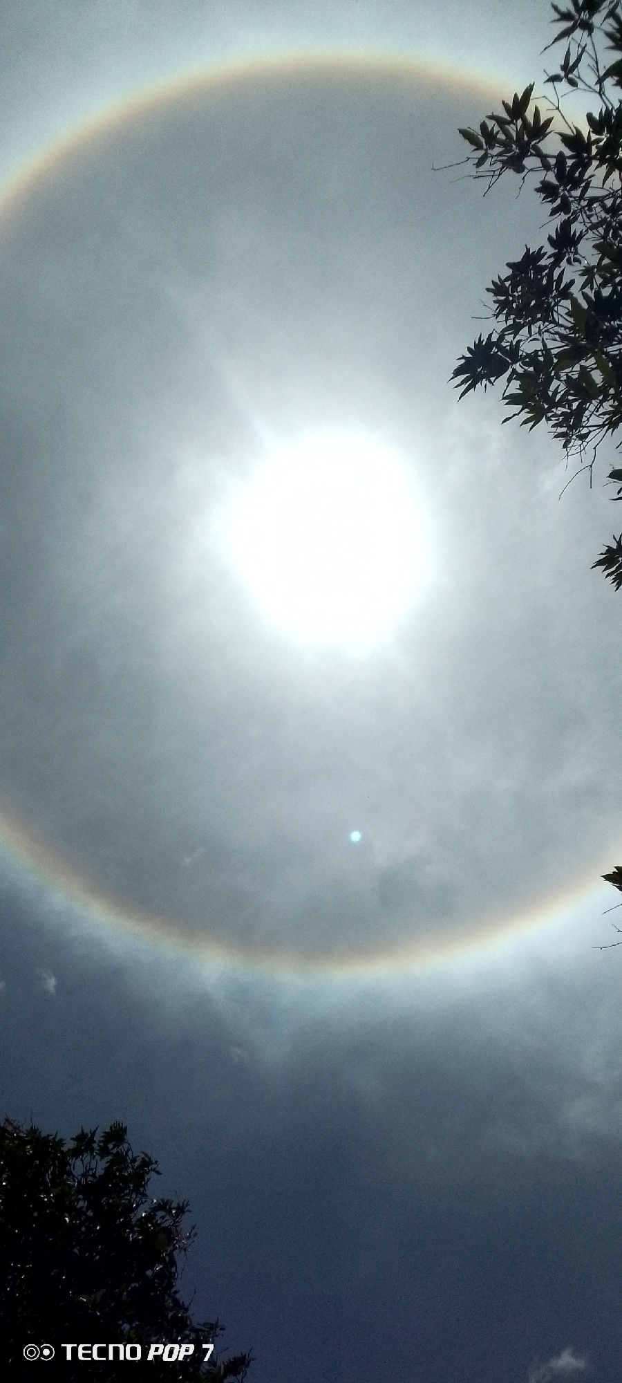 Solar halo observed over Altagracia, Venezuela afternoon hours
