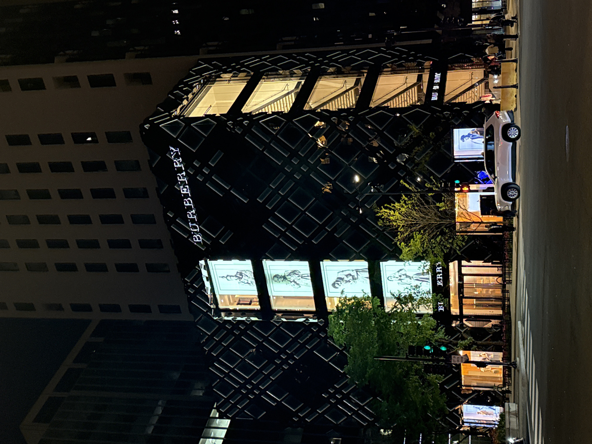 Early morning Chicago scenes captured: skyline, shopping, spring flowers, pizza