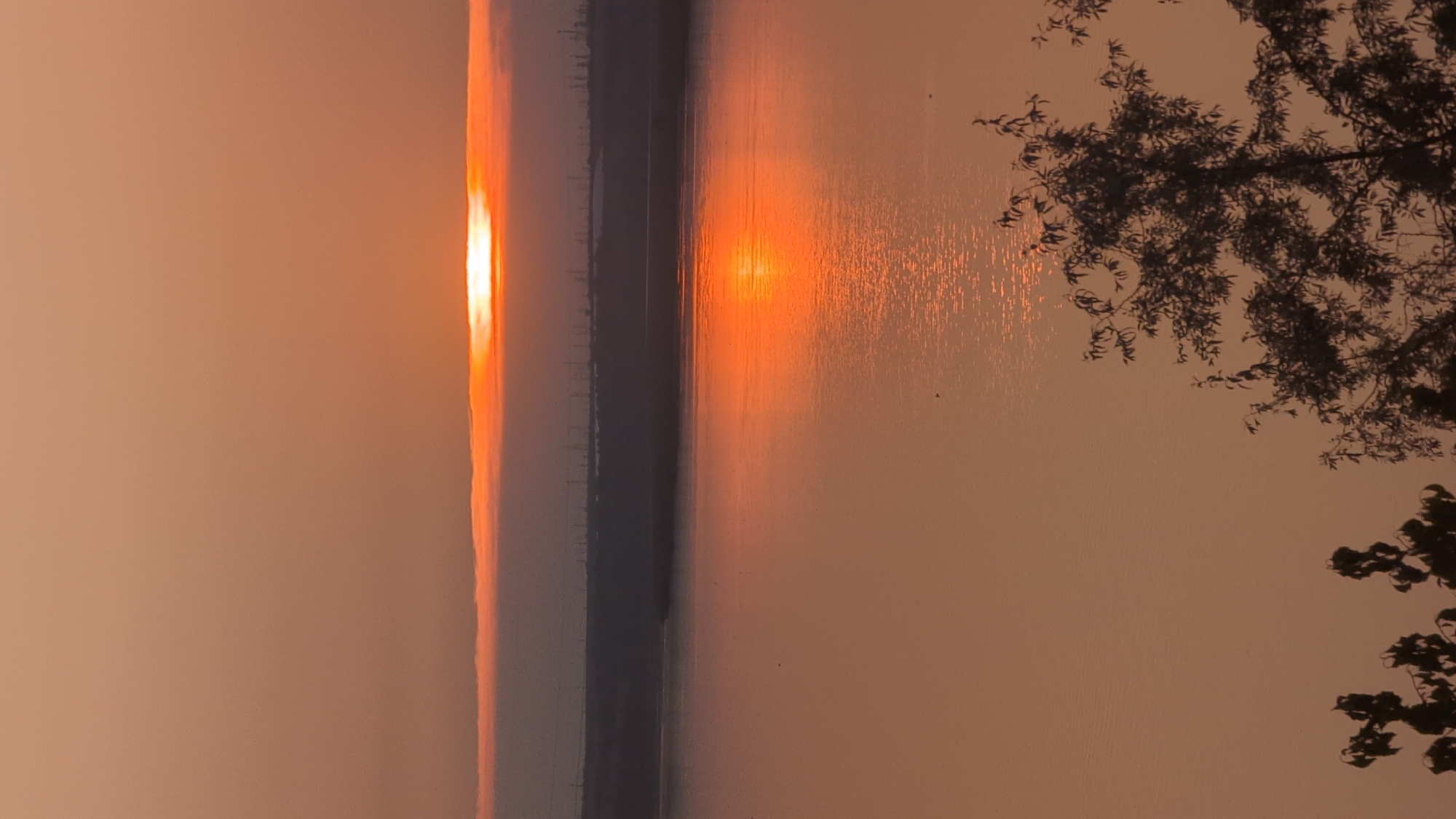 Sunset over water in Kostiantynivka, with a kitten nearby