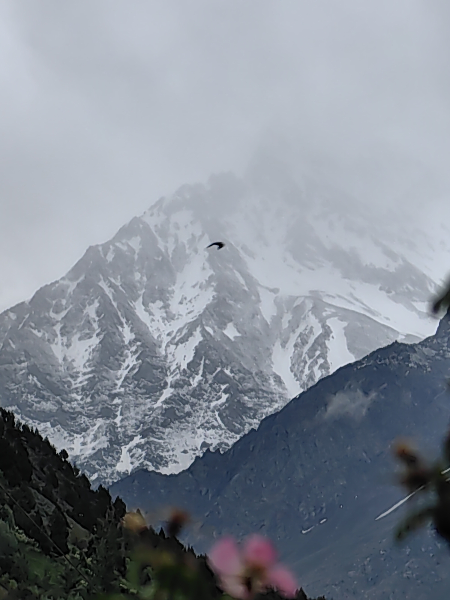 Keylong town and Himalayan peaks on a misty June morning