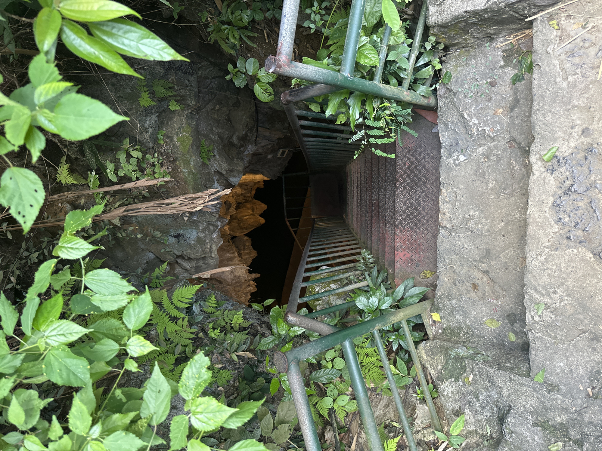 Tourists explore Vietnamese caves and scenic spots during morning visit
