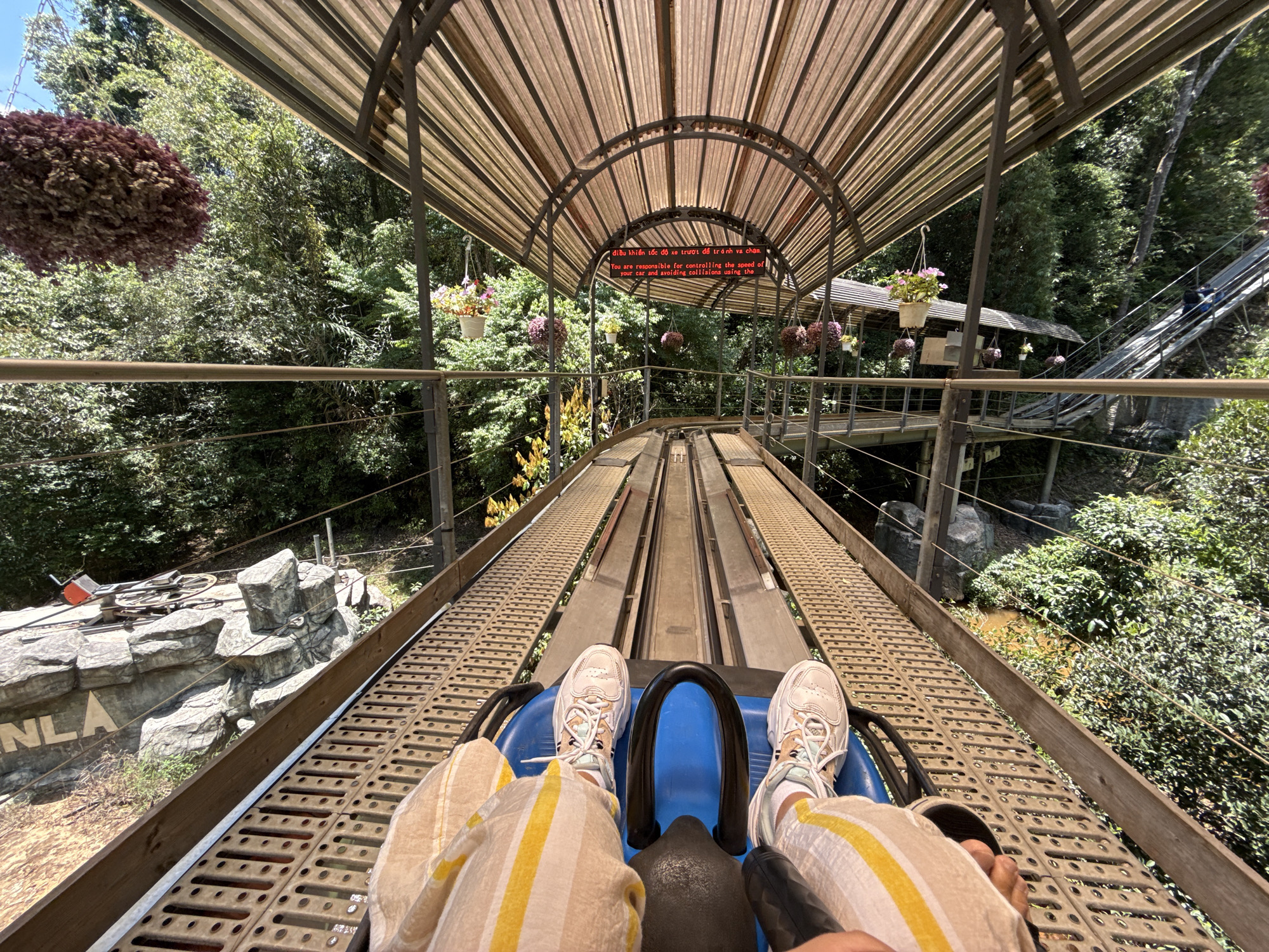 Early morning toboggan rides and flower displays in Da Lat