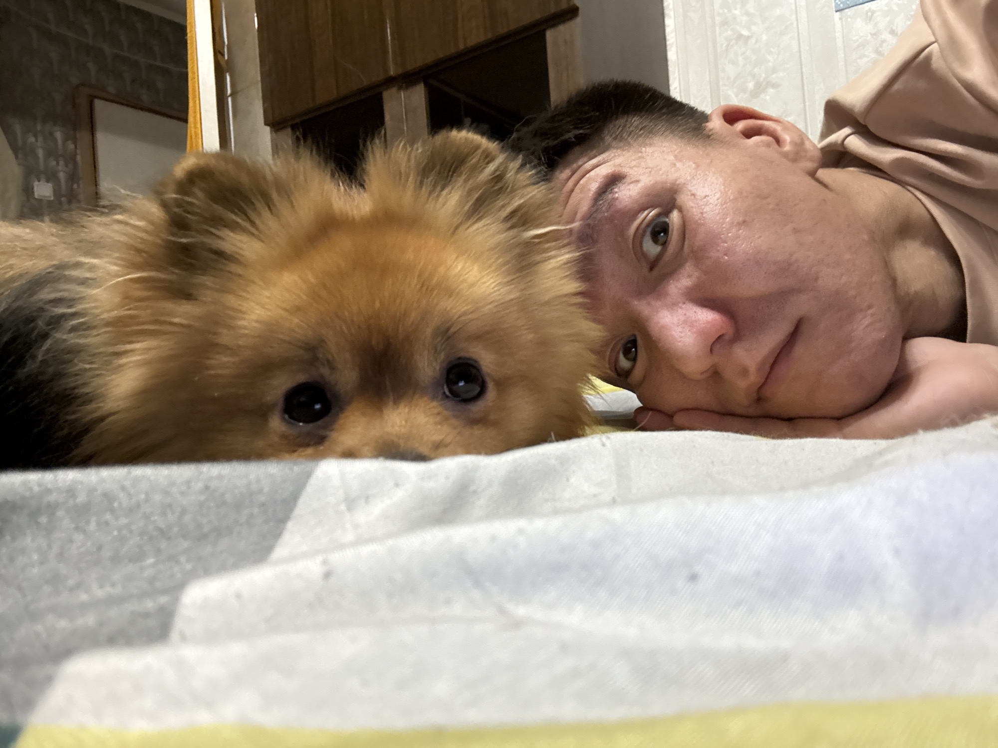 Lazy afternoon on the bed with a small dog in Khimki