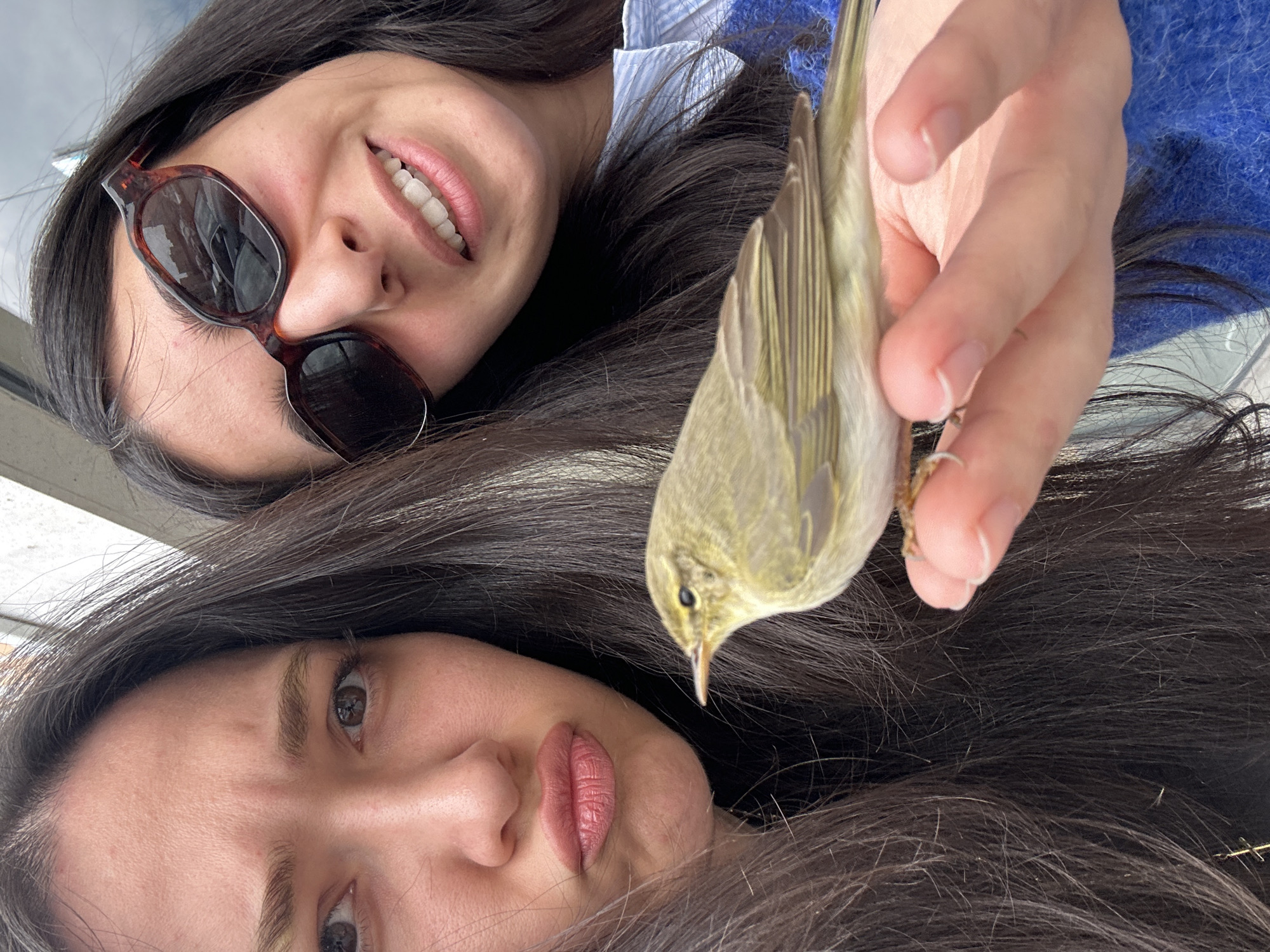 Women photograph small bird encounter in Armenian village