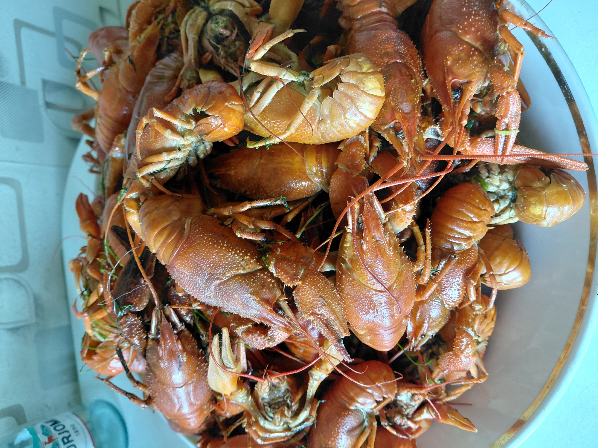 Lazy afternoon in Karaganda: crawfish and downtime