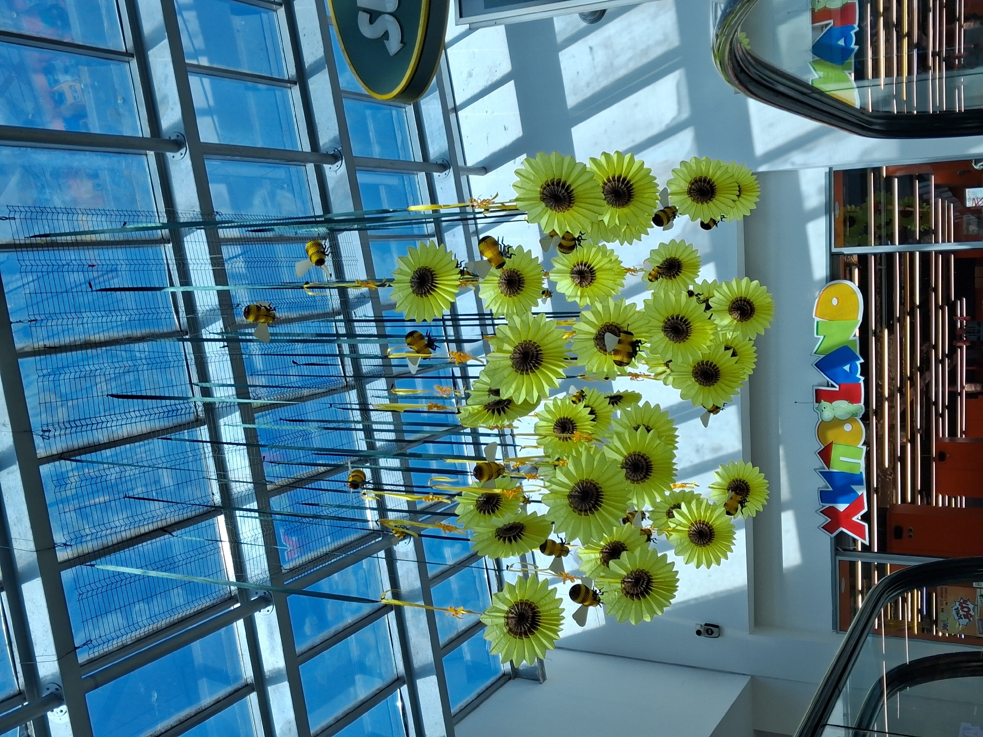 Paper sunflower decorations hang from glass ceiling in interior space