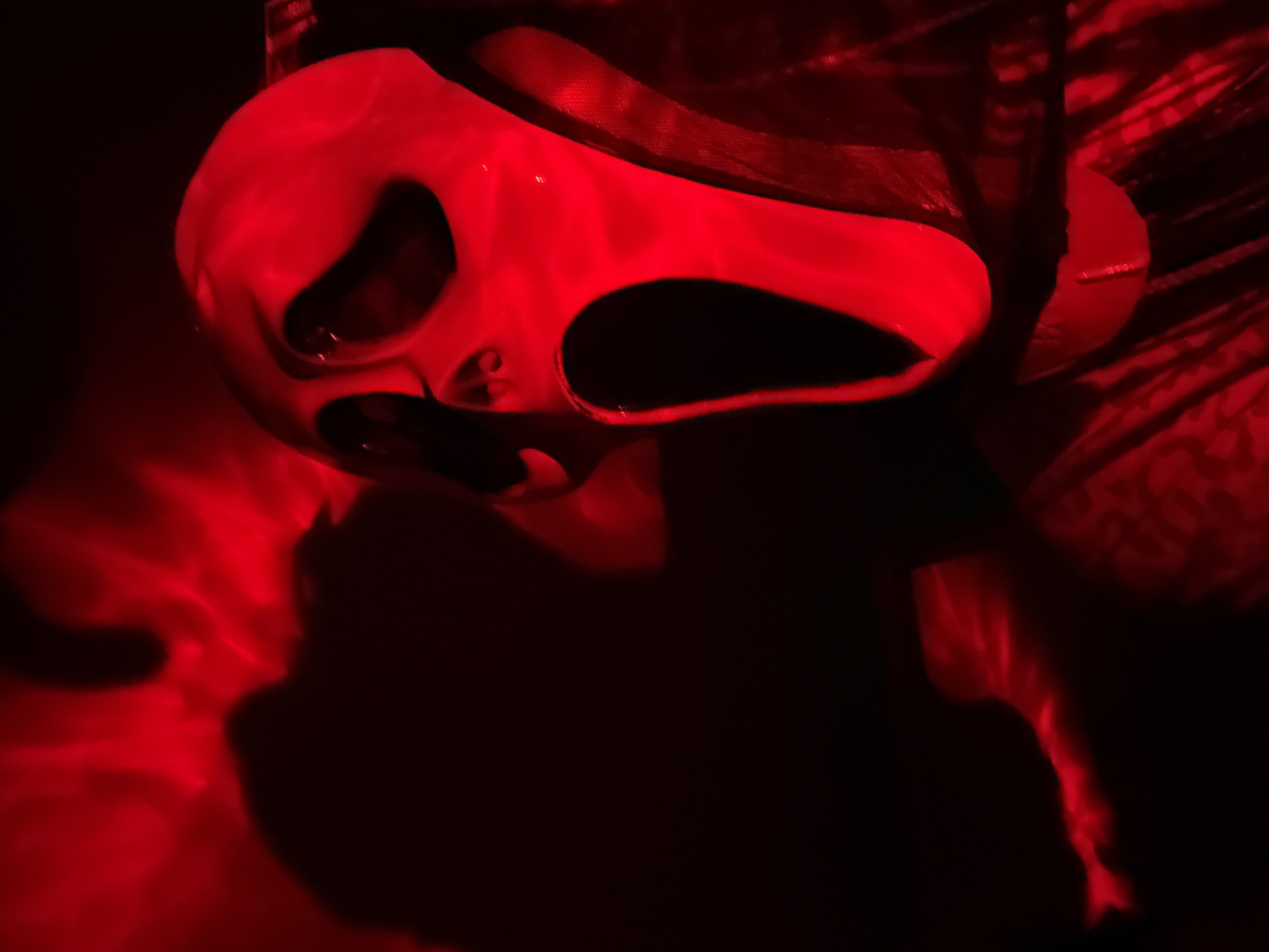 Person photographed wearing animal masks in colored lighting, Rusanovo