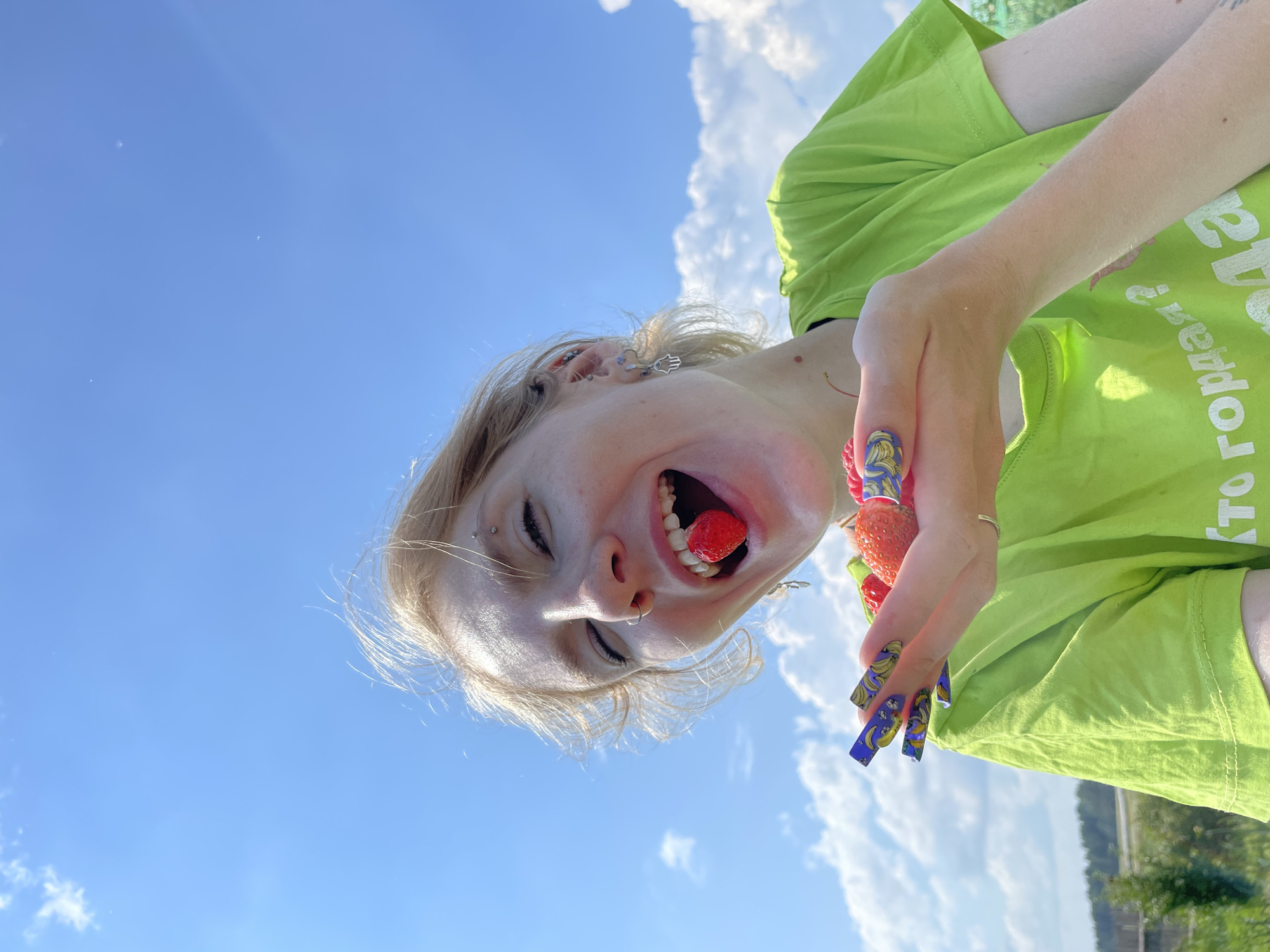 Summer day on a Russian farm: berries and a rooster